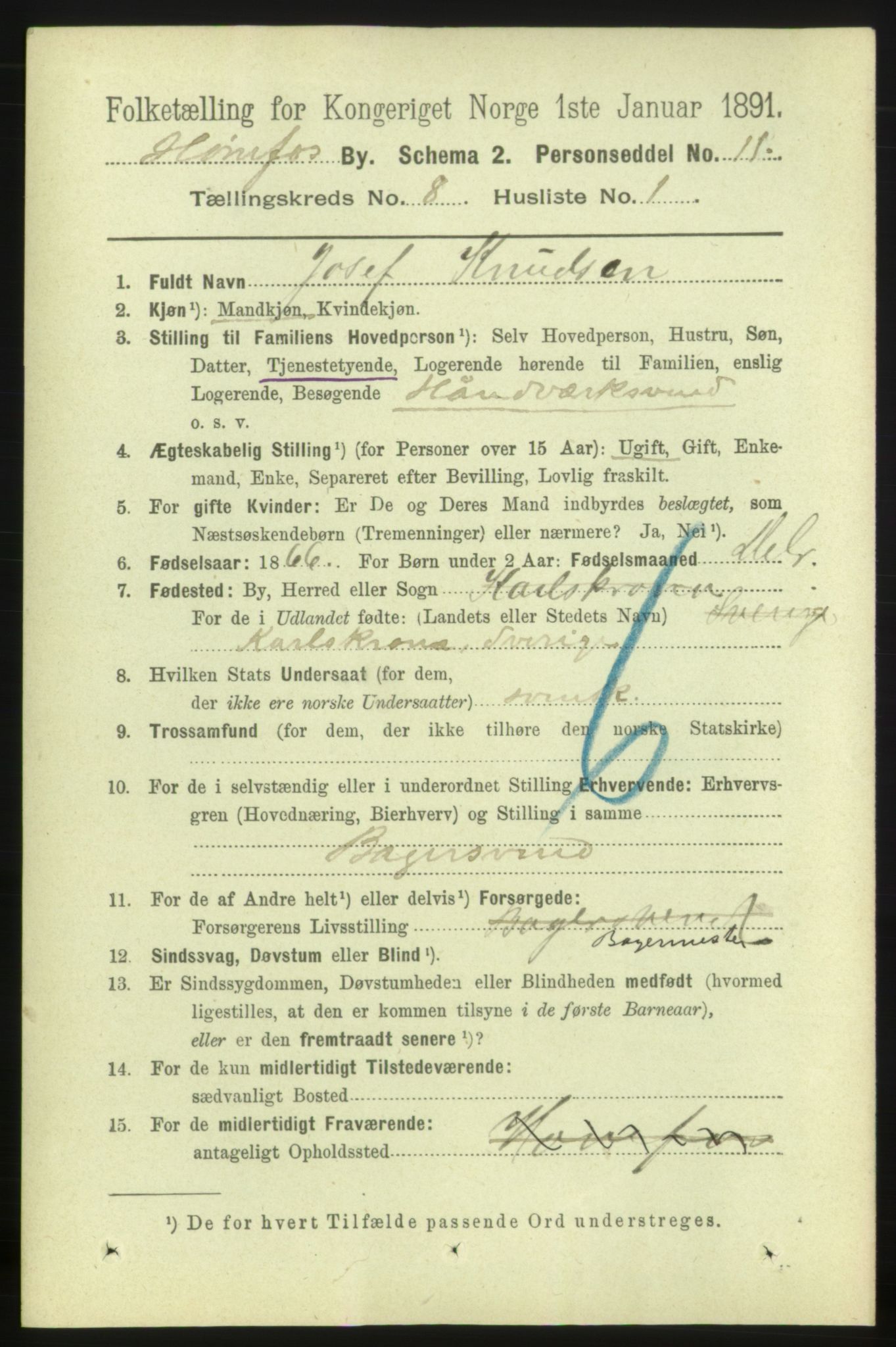 RA, 1891 census for 0601 Hønefoss, 1891, p. 1256