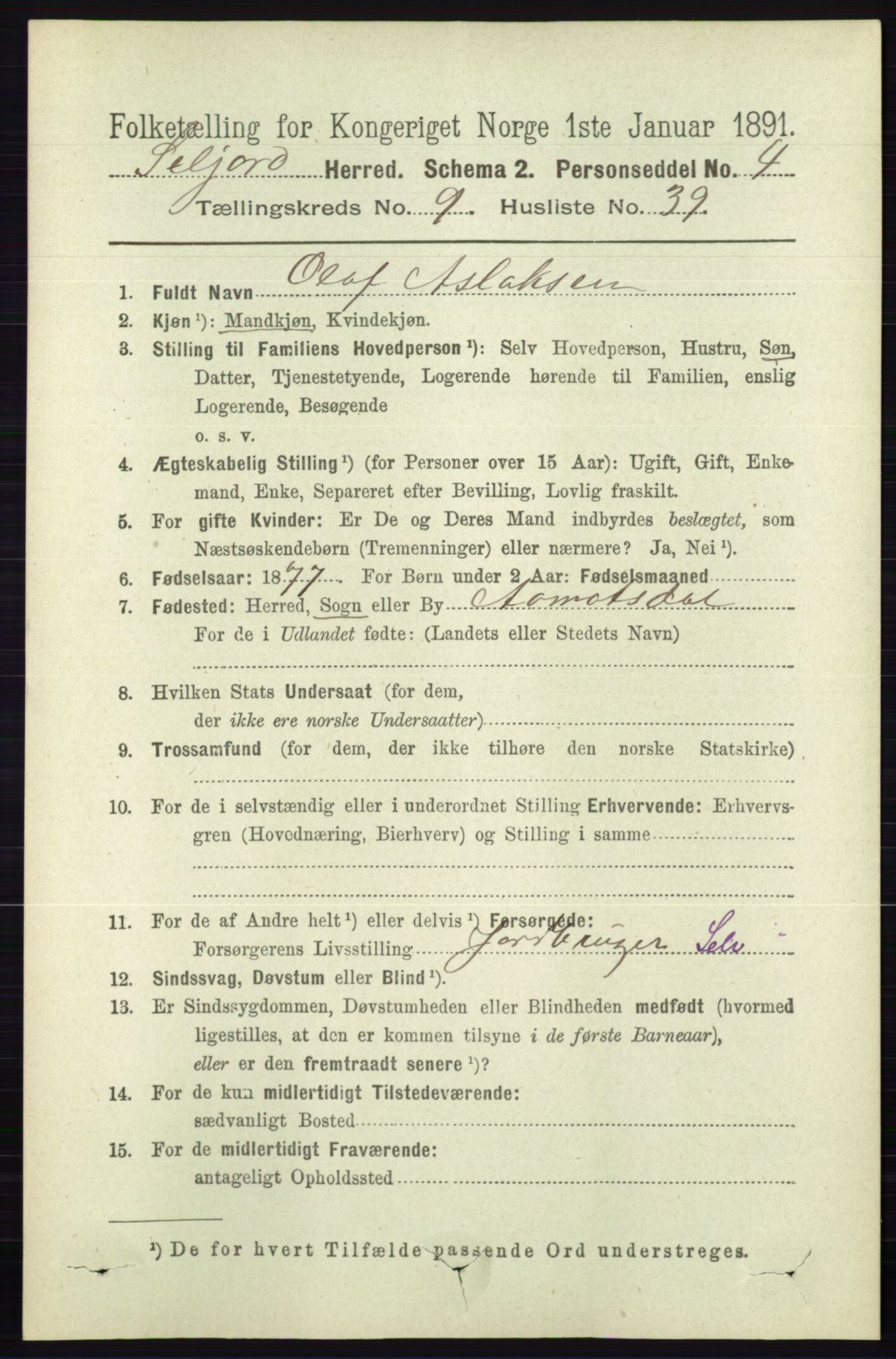 RA, 1891 census for 0828 Seljord, 1891, p. 3385