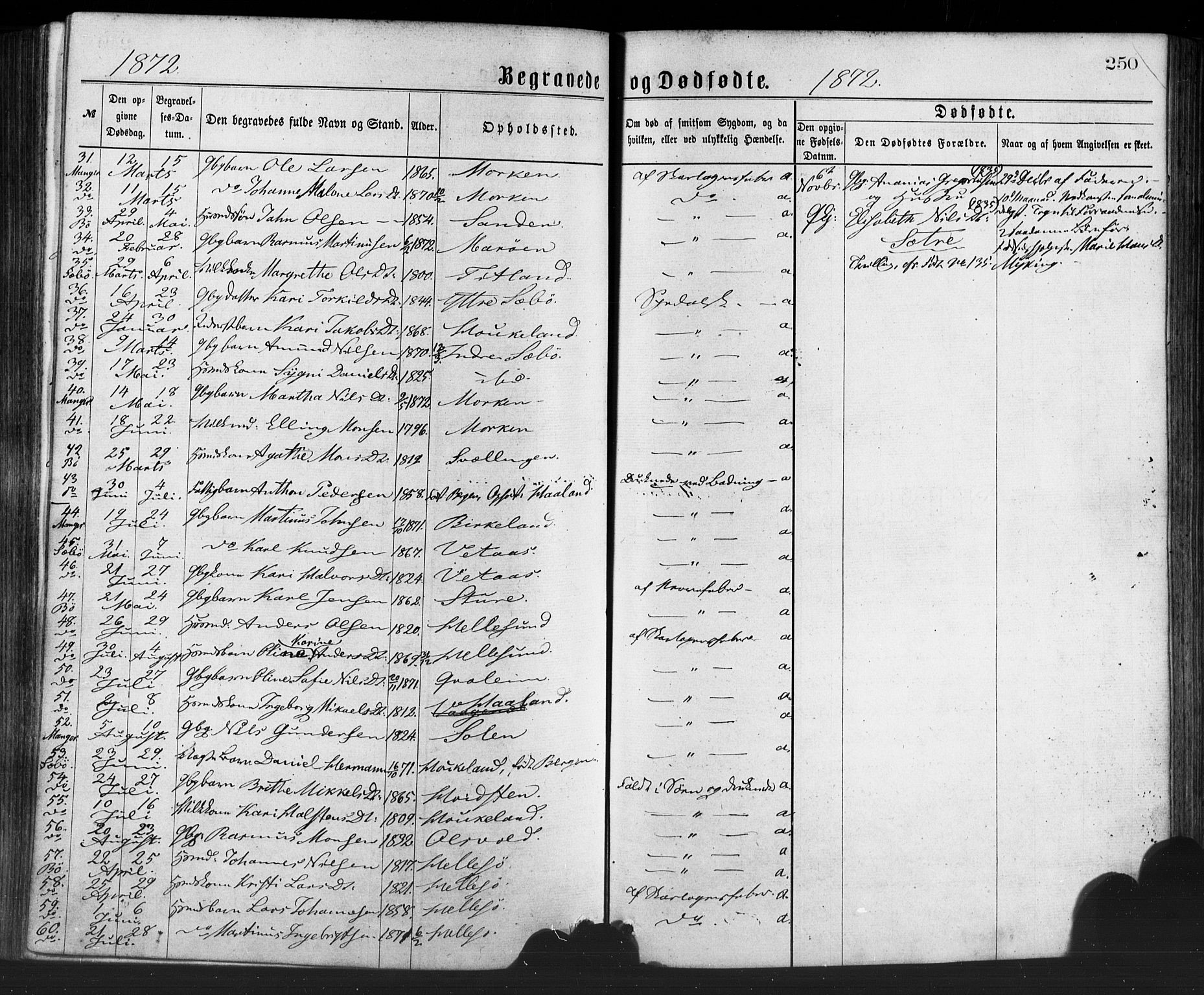 Manger sokneprestembete, SAB/A-76801/H/Haa: Parish register (official) no. A 8, 1871-1880, p. 250