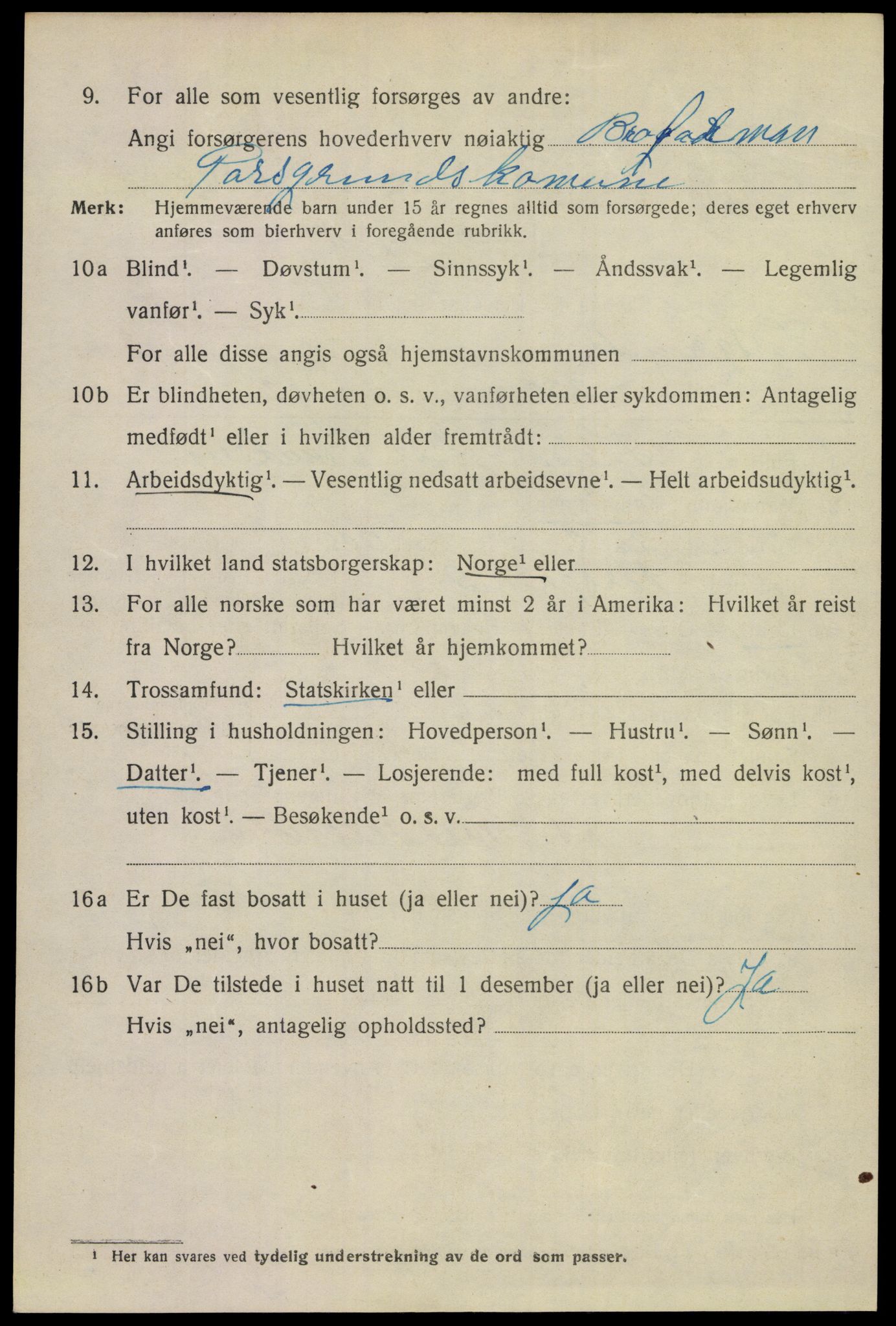 SAKO, 1920 census for Porsgrunn, 1920, p. 17338