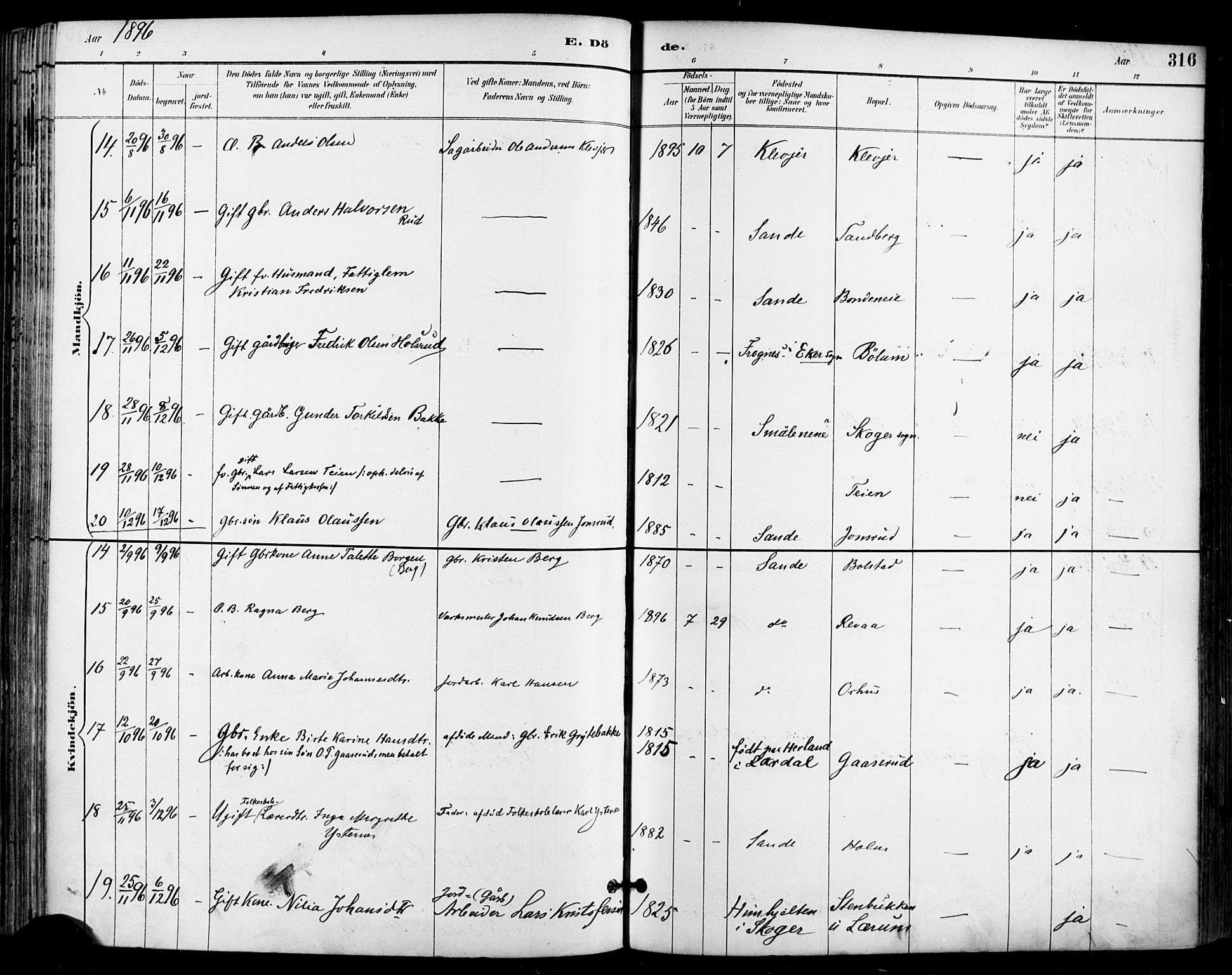 Sande Kirkebøker, AV/SAKO-A-53/F/Fa/L0007: Parish register (official) no. 7, 1888-1903, p. 316