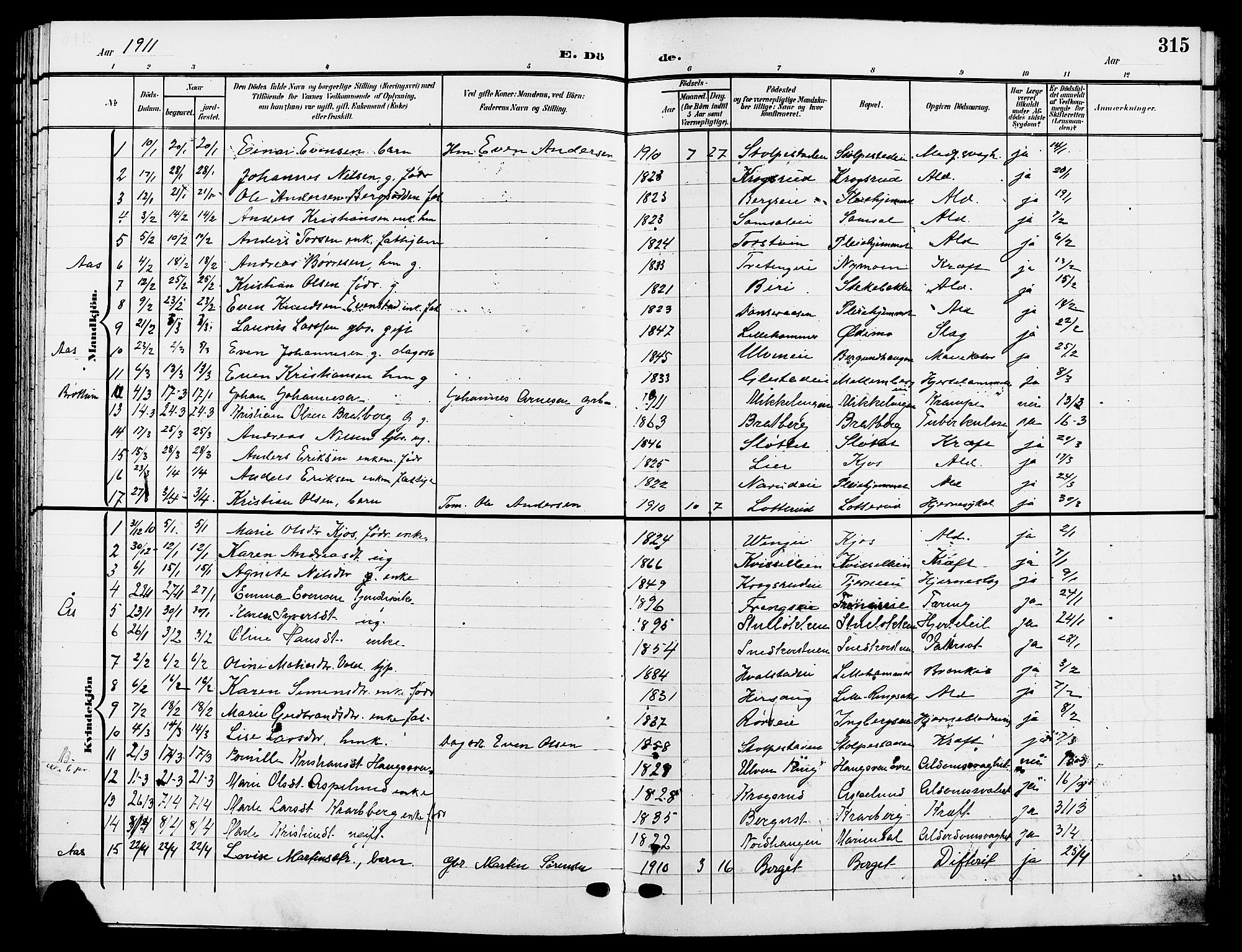 Ringsaker prestekontor, SAH/PREST-014/L/La/L0015: Parish register (copy) no. 15, 1903-1912, p. 315