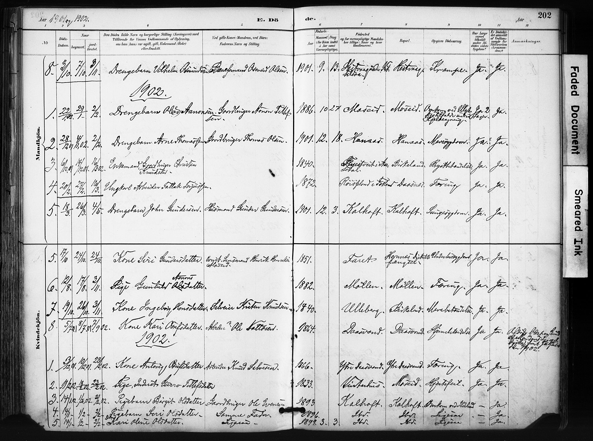 Evje sokneprestkontor, SAK/1111-0008/F/Fa/Fab/L0003: Parish register (official) no. A 3, 1884-1909, p. 202