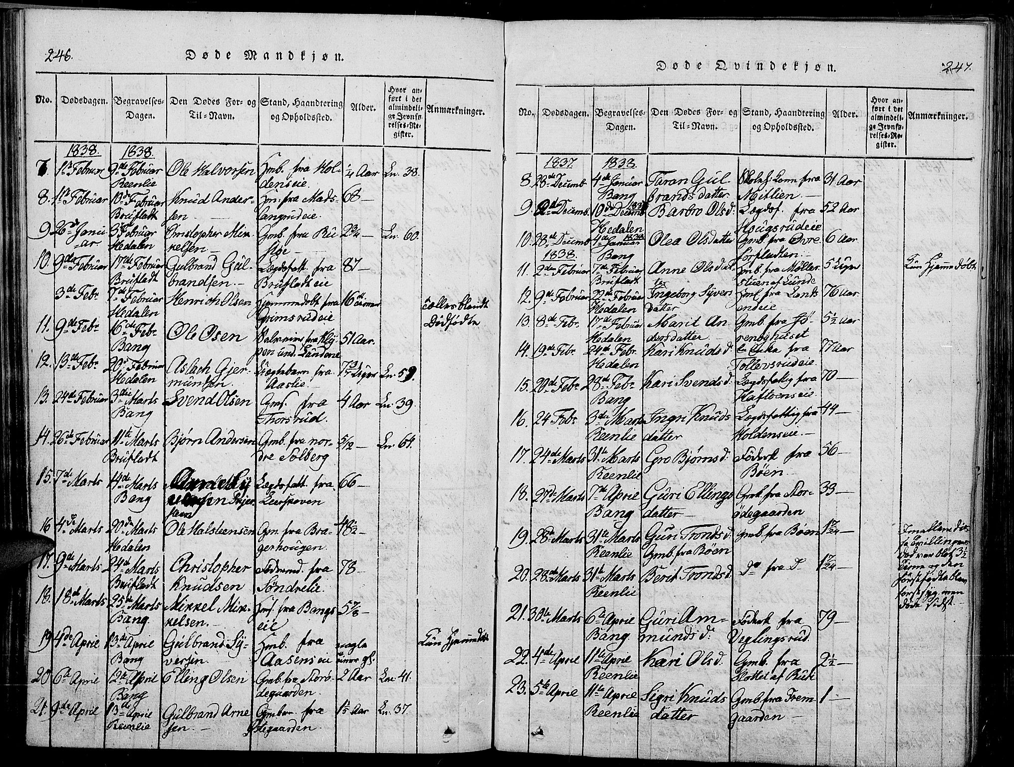 Sør-Aurdal prestekontor, SAH/PREST-128/H/Ha/Haa/L0003: Parish register (official) no. 3, 1825-1840, p. 246-247
