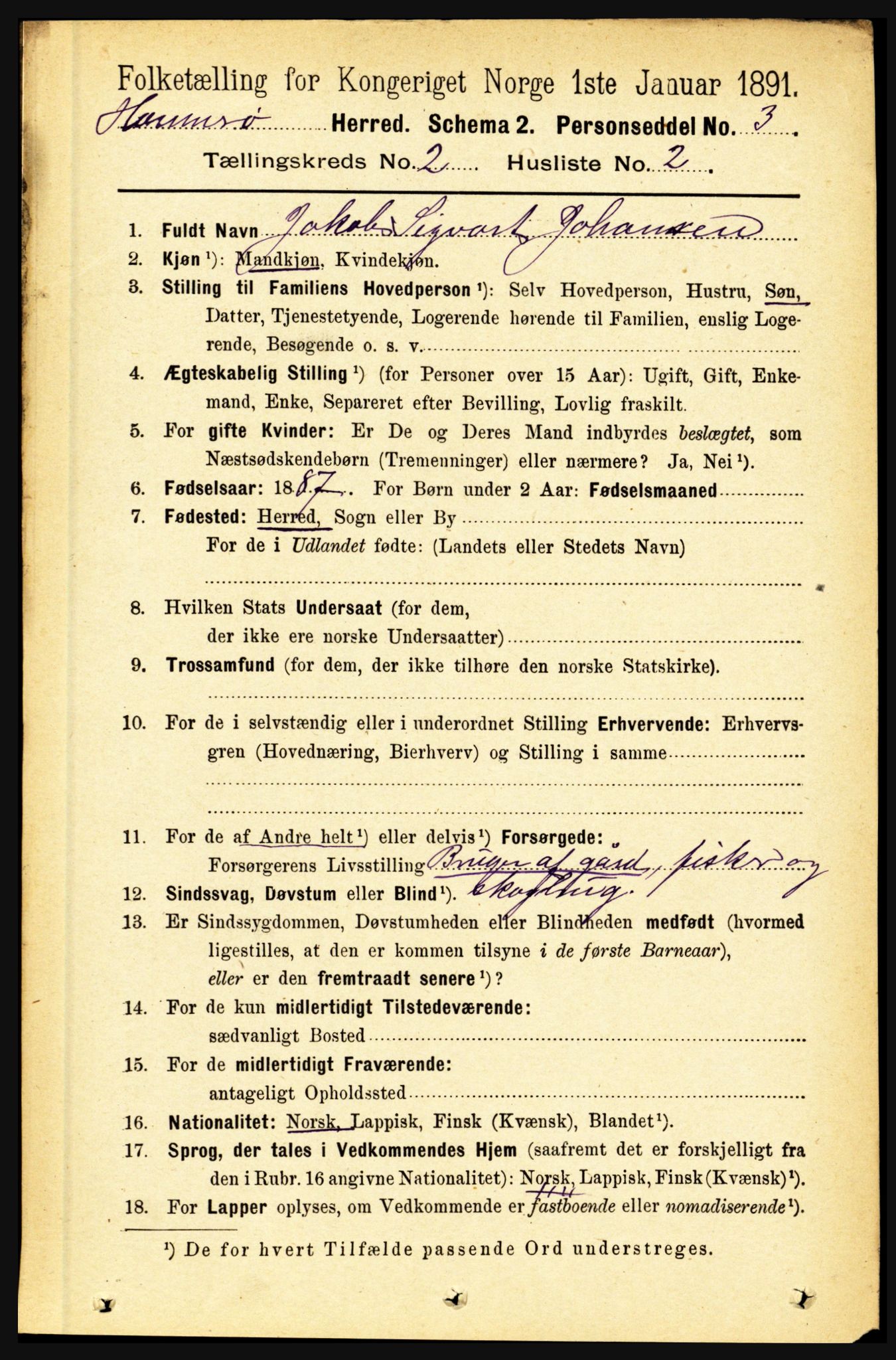 RA, 1891 census for 1849 Hamarøy, 1891, p. 586