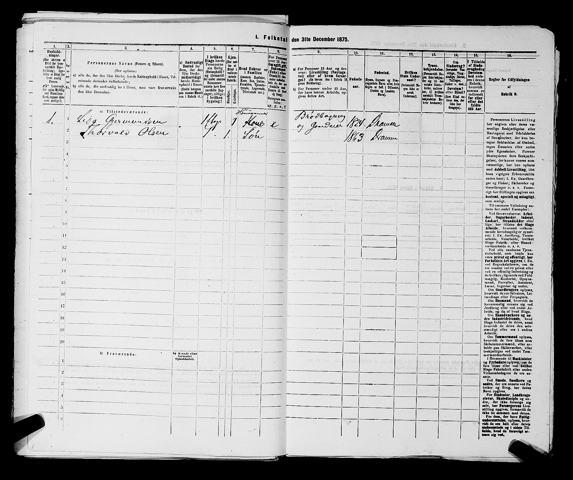 SAKO, 1875 census for 0602 Drammen, 1875, p. 2538