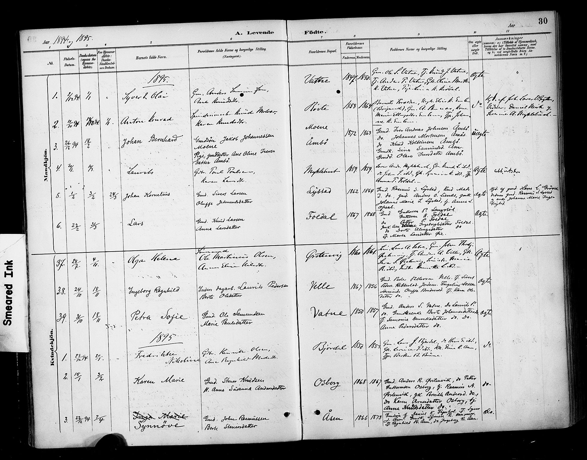 Ministerialprotokoller, klokkerbøker og fødselsregistre - Møre og Romsdal, AV/SAT-A-1454/513/L0177: Parish register (official) no. 513A04, 1890-1906, p. 30