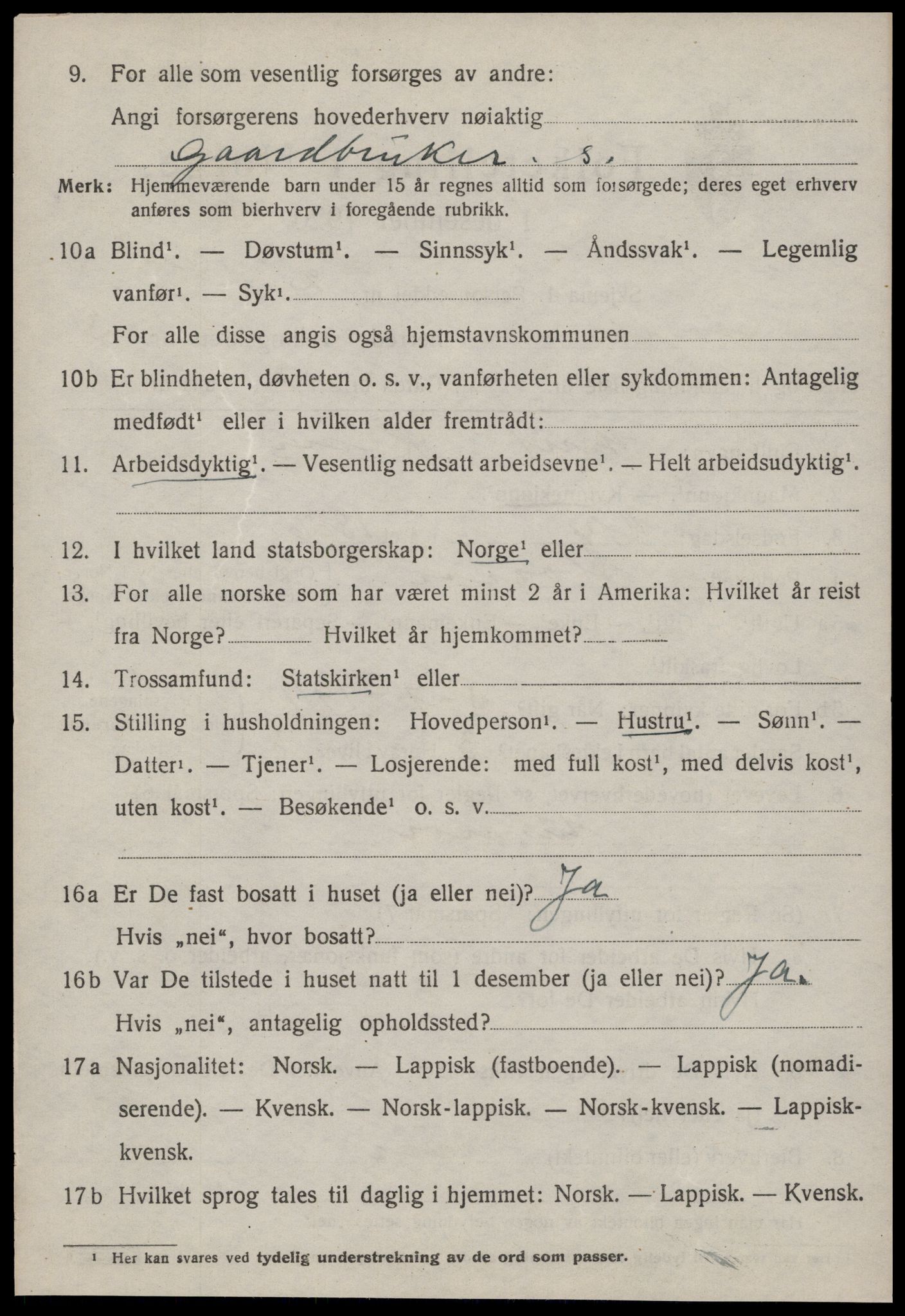 SAT, 1920 census for Støren, 1920, p. 2405