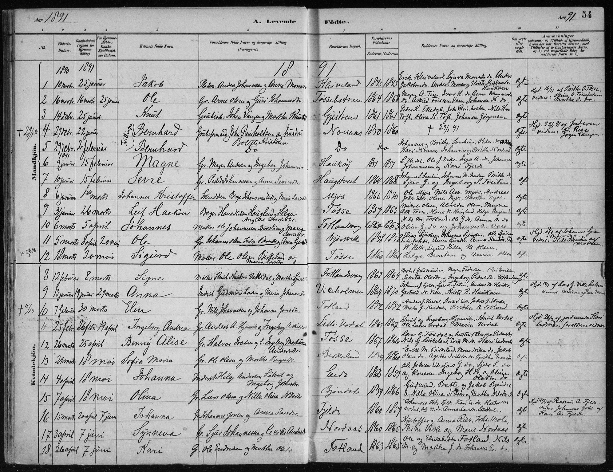 Hosanger sokneprestembete, AV/SAB-A-75801/H/Haa: Parish register (official) no. B  1, 1880-1896, p. 54