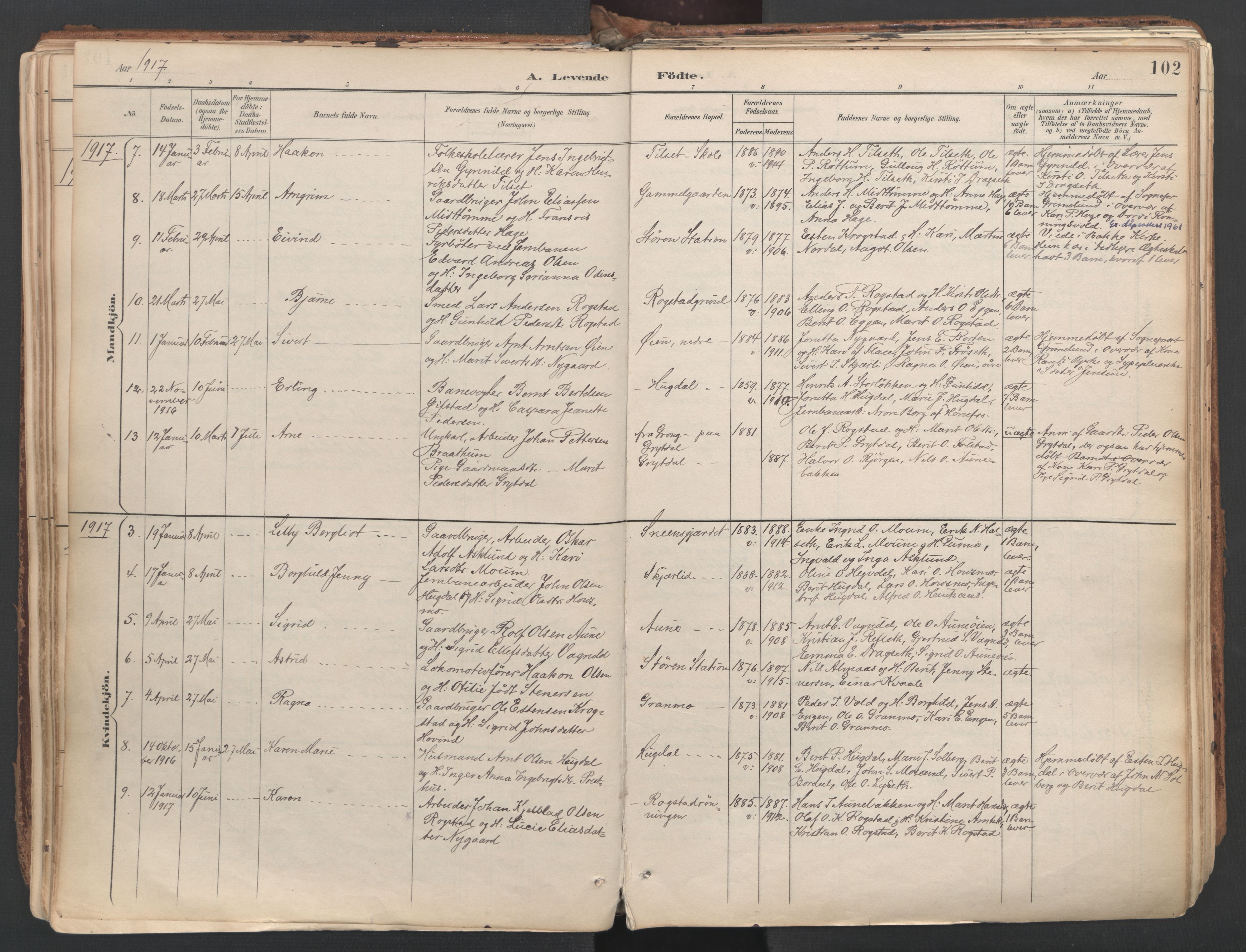 Ministerialprotokoller, klokkerbøker og fødselsregistre - Sør-Trøndelag, SAT/A-1456/687/L1004: Parish register (official) no. 687A10, 1891-1923, p. 102