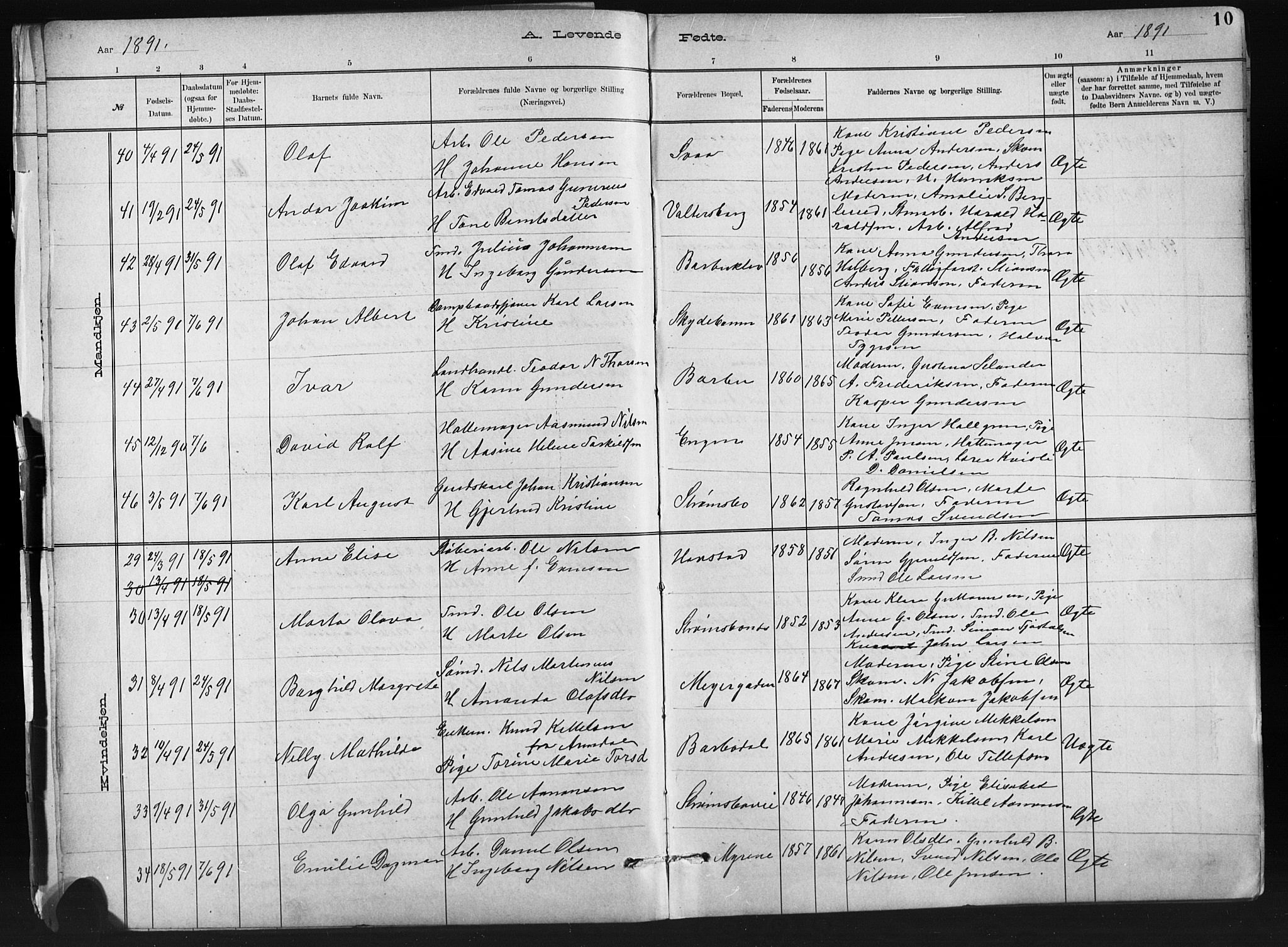 Barbu sokneprestkontor, AV/SAK-1111-0003/F/Fb/L0002: Parish register (copy) no. B 2, 1890-1922, p. 10