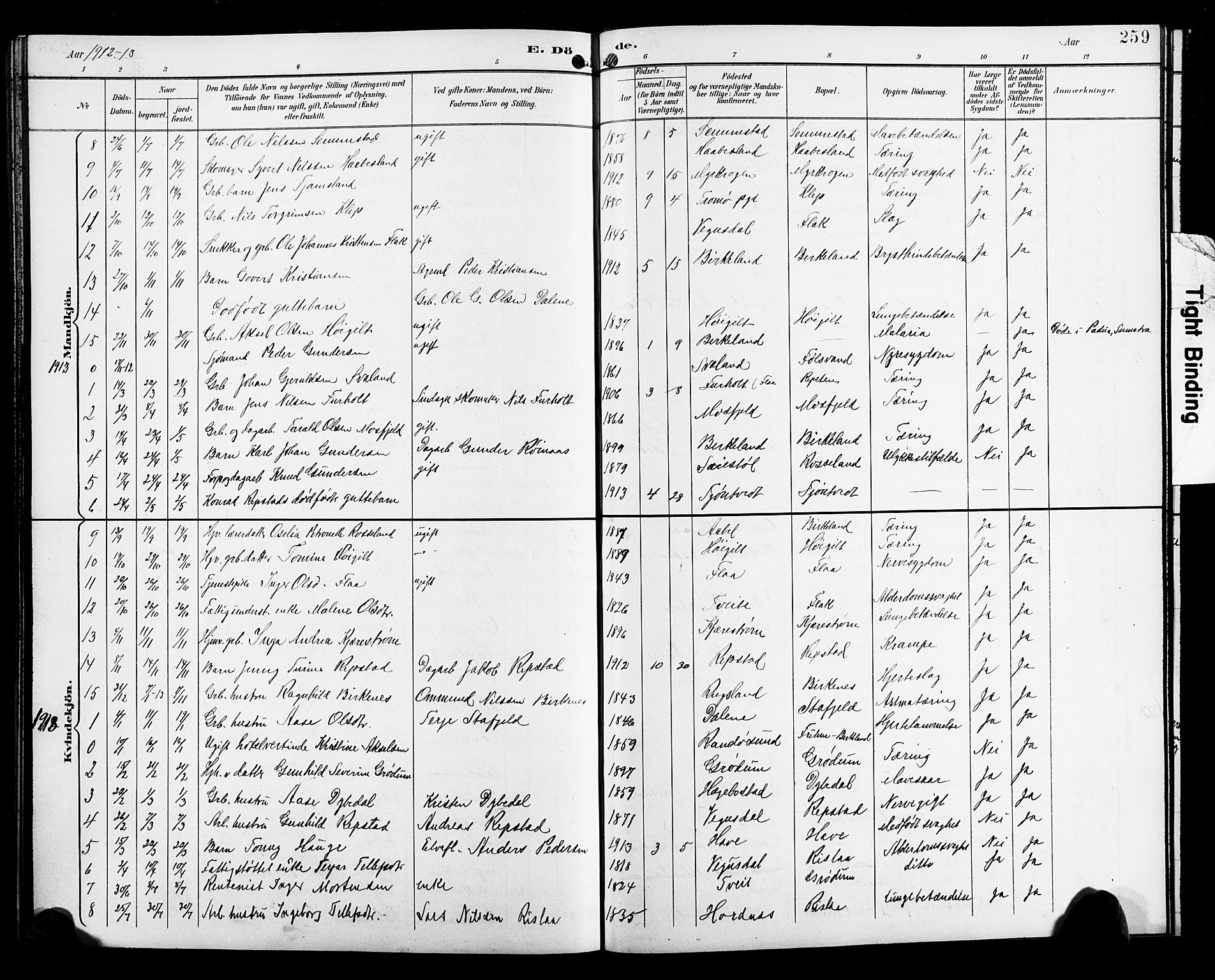 Birkenes sokneprestkontor, SAK/1111-0004/F/Fb/L0004: Parish register (copy) no. B 4, 1893-1930, p. 259