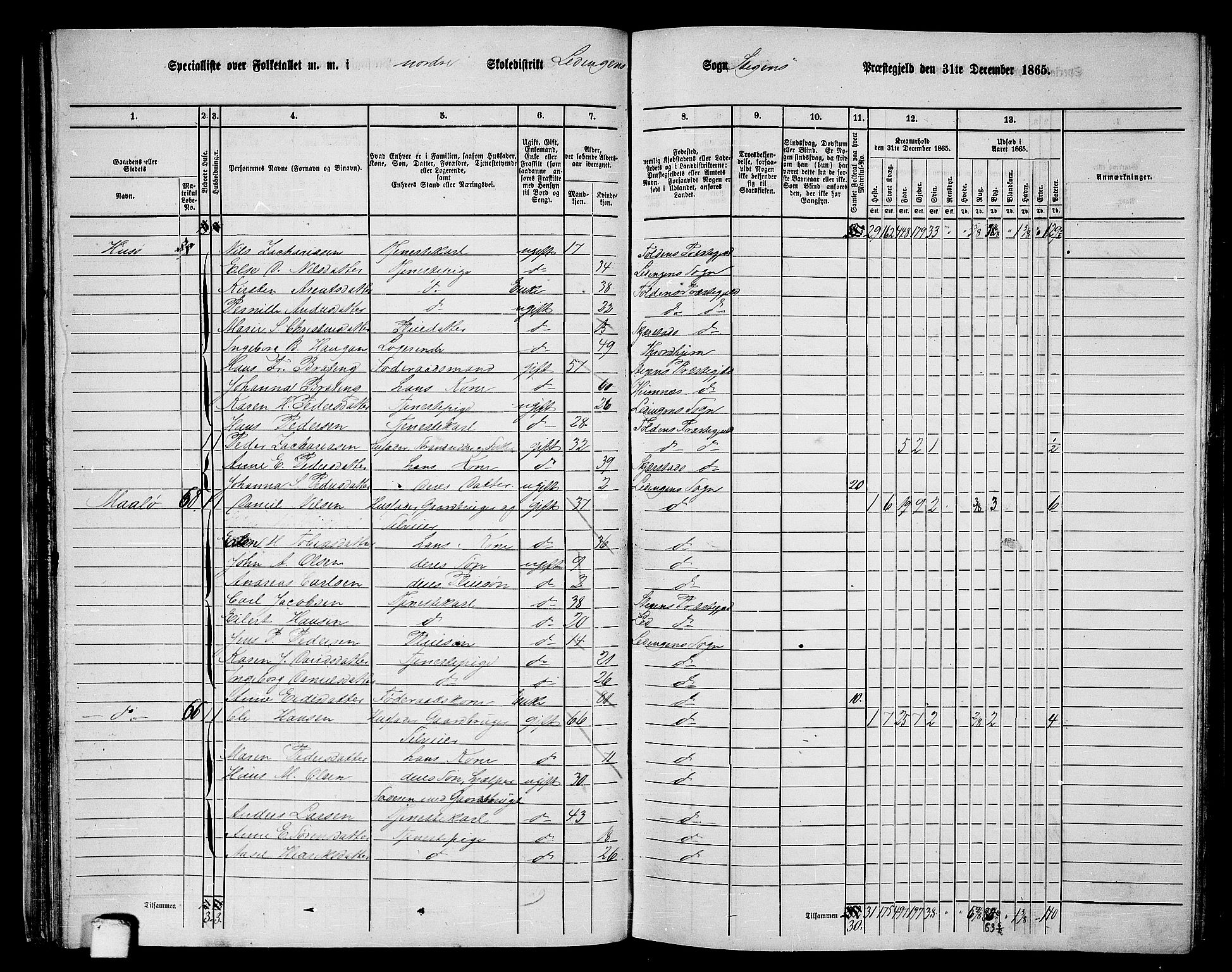 RA, 1865 census for Steigen, 1865, p. 38