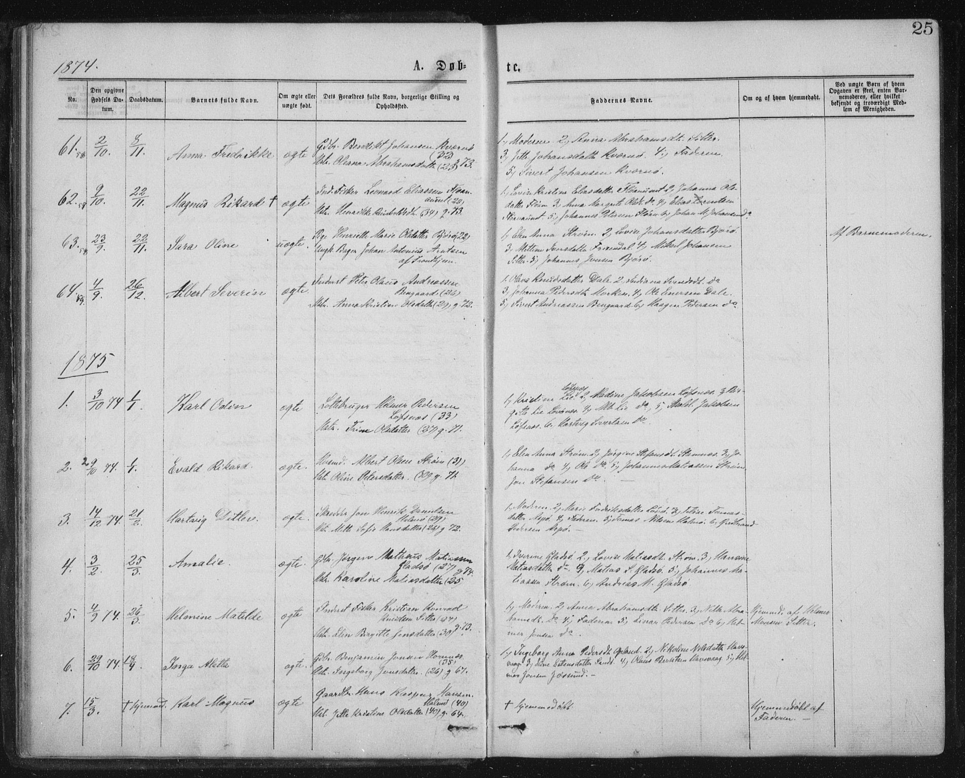 Ministerialprotokoller, klokkerbøker og fødselsregistre - Nord-Trøndelag, SAT/A-1458/771/L0596: Parish register (official) no. 771A03, 1870-1884, p. 25