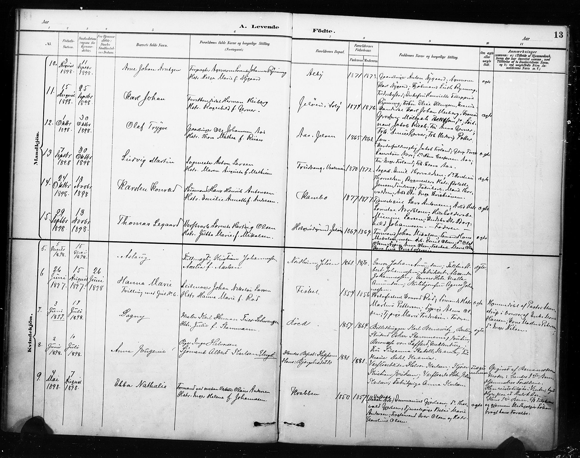 Moss prestekontor Kirkebøker, AV/SAO-A-2003/F/Fc/L0002: Parish register (official) no. III 2, 1894-1906, p. 13