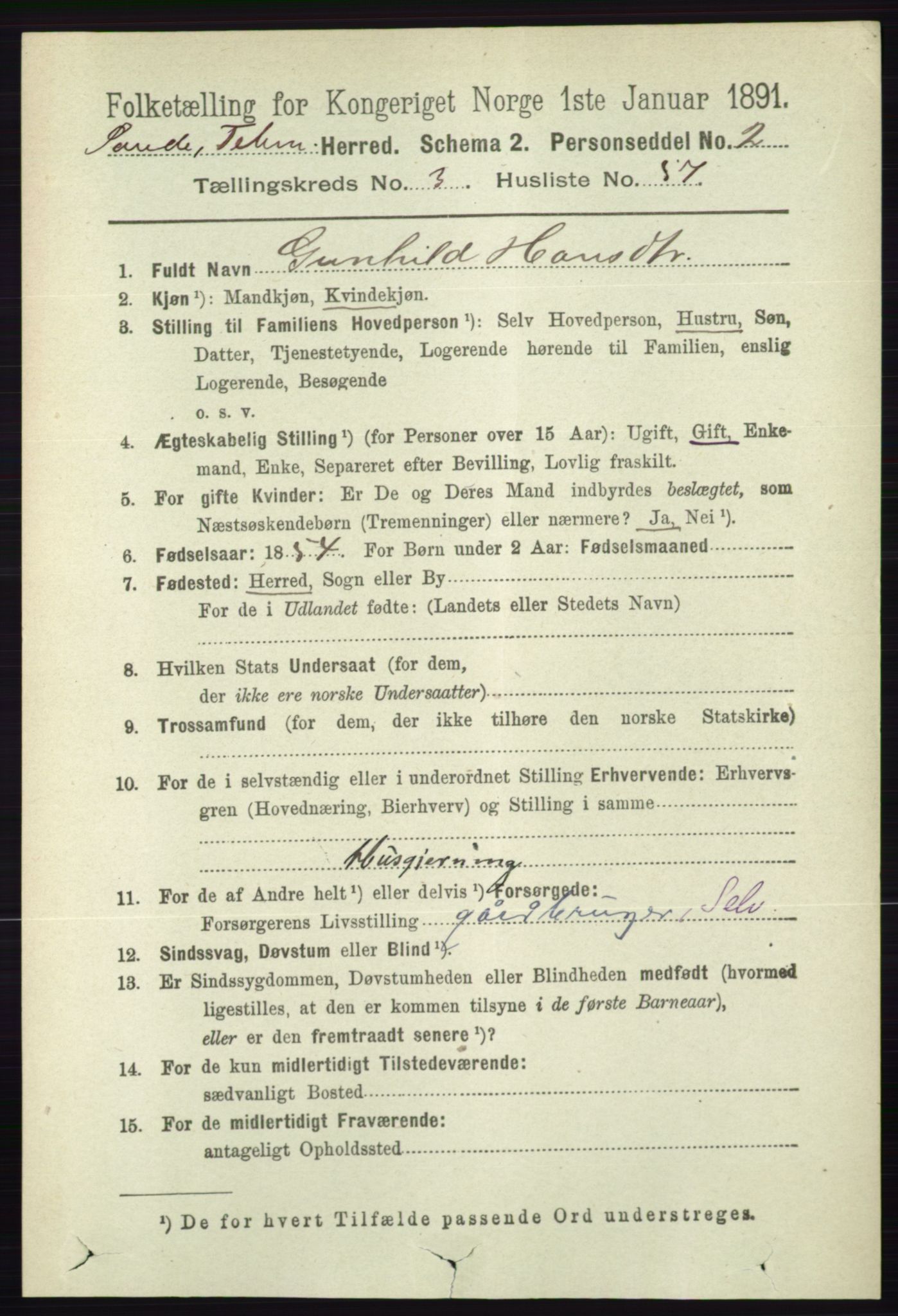 RA, 1891 census for 0822 Sauherad, 1891, p. 1038