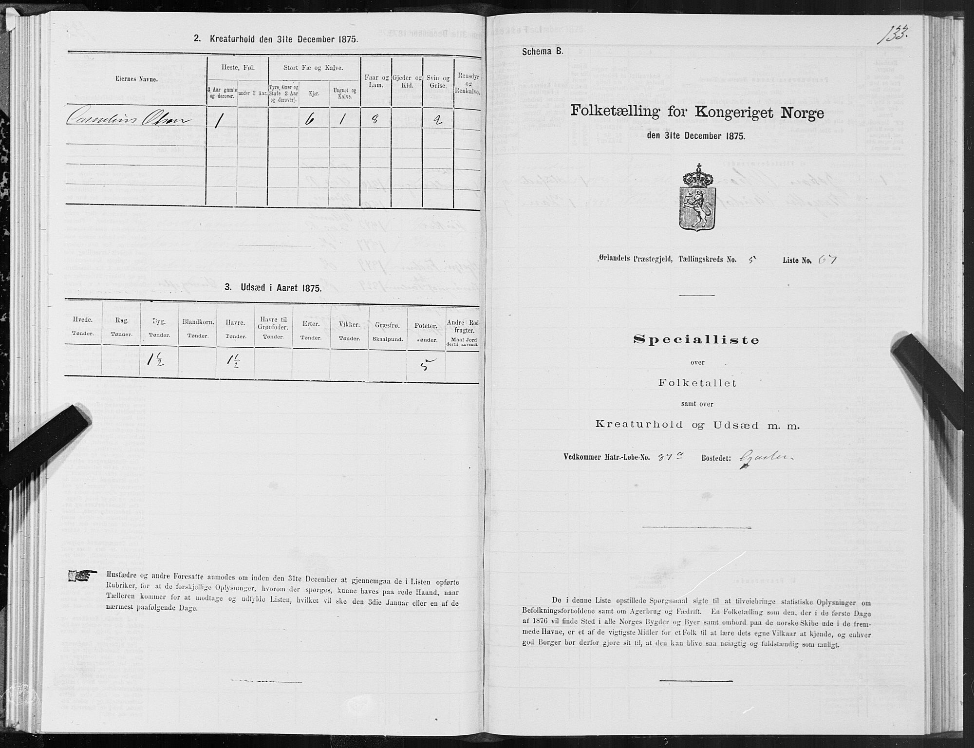 SAT, 1875 census for 1621P Ørland, 1875, p. 3133