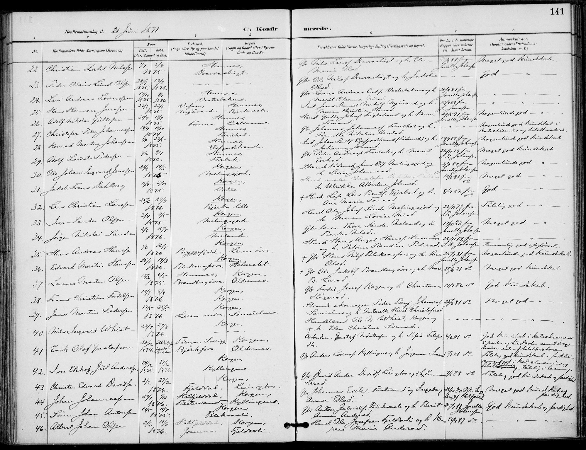 Ministerialprotokoller, klokkerbøker og fødselsregistre - Nordland, AV/SAT-A-1459/825/L0362: Parish register (official) no. 825A16, 1886-1908, p. 141