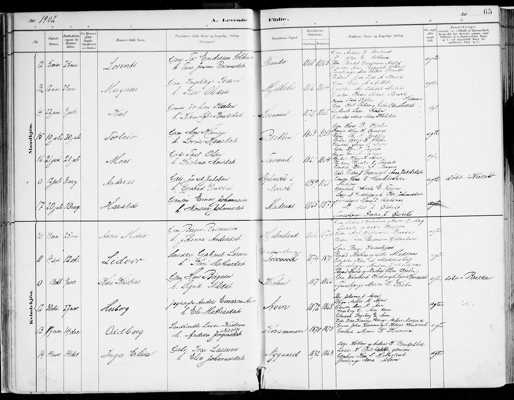 Lavik sokneprestembete, AV/SAB-A-80901: Parish register (official) no. B 1, 1882-1908, p. 65