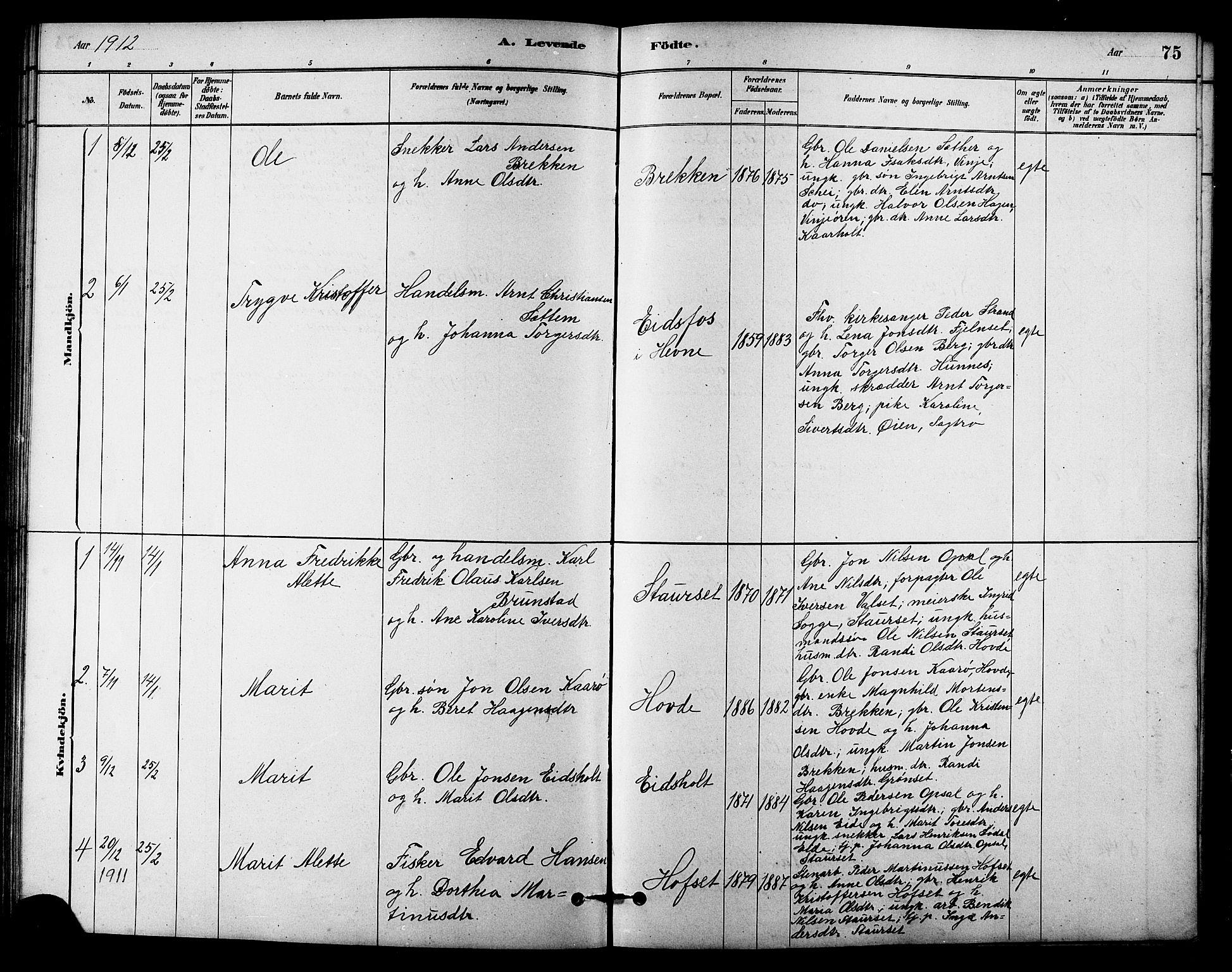 Ministerialprotokoller, klokkerbøker og fødselsregistre - Sør-Trøndelag, AV/SAT-A-1456/631/L0514: Parish register (copy) no. 631C02, 1879-1912, p. 75
