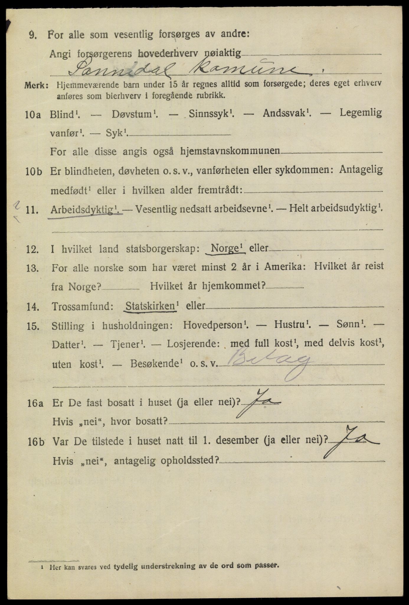 SAKO, 1920 census for Sannidal, 1920, p. 3348