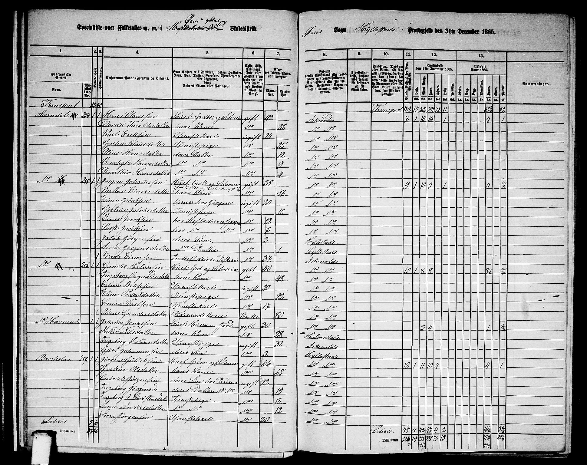 RA, 1865 census for Hyllestad, 1865, p. 20