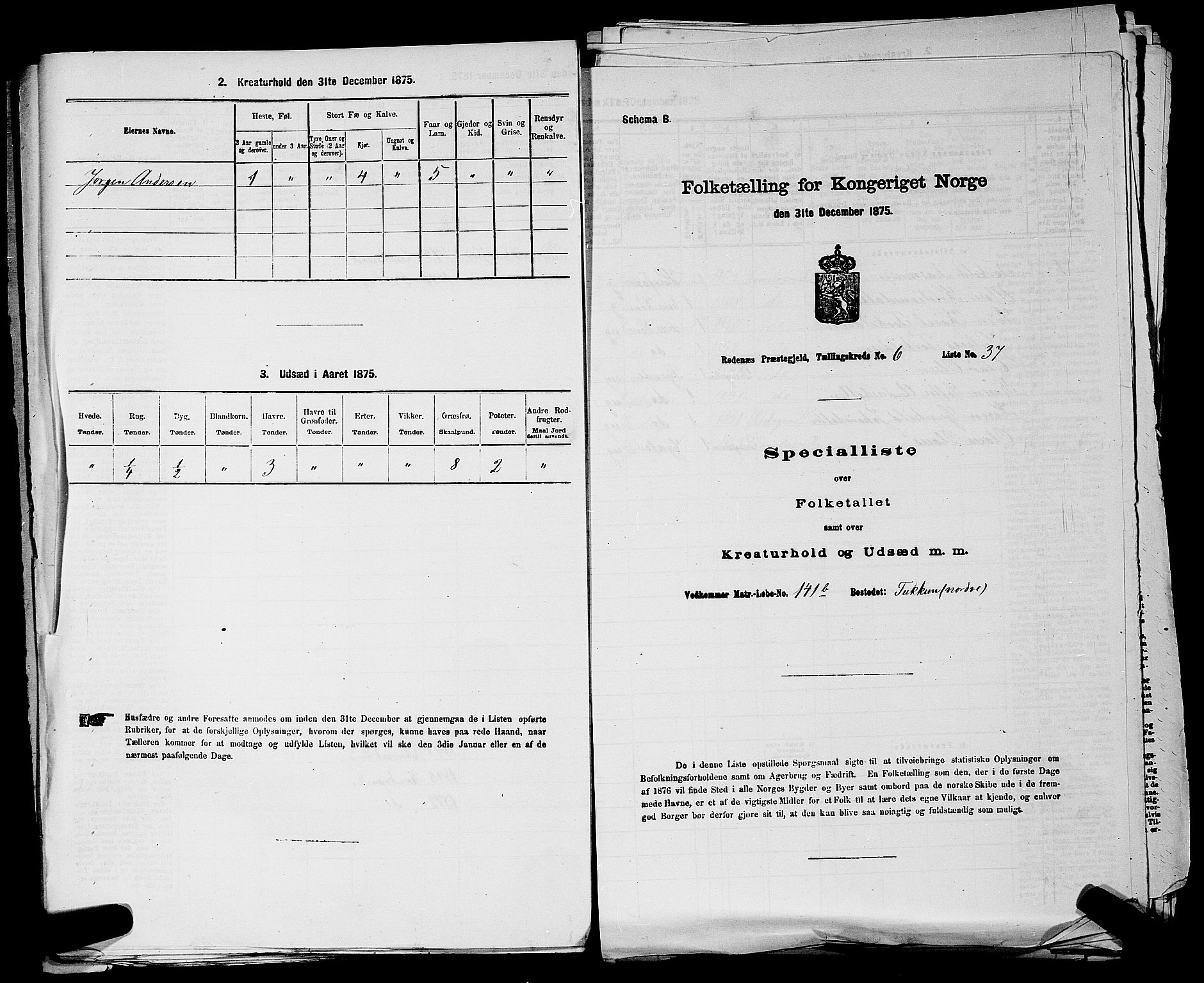 RA, 1875 census for 0120P Rødenes, 1875, p. 822