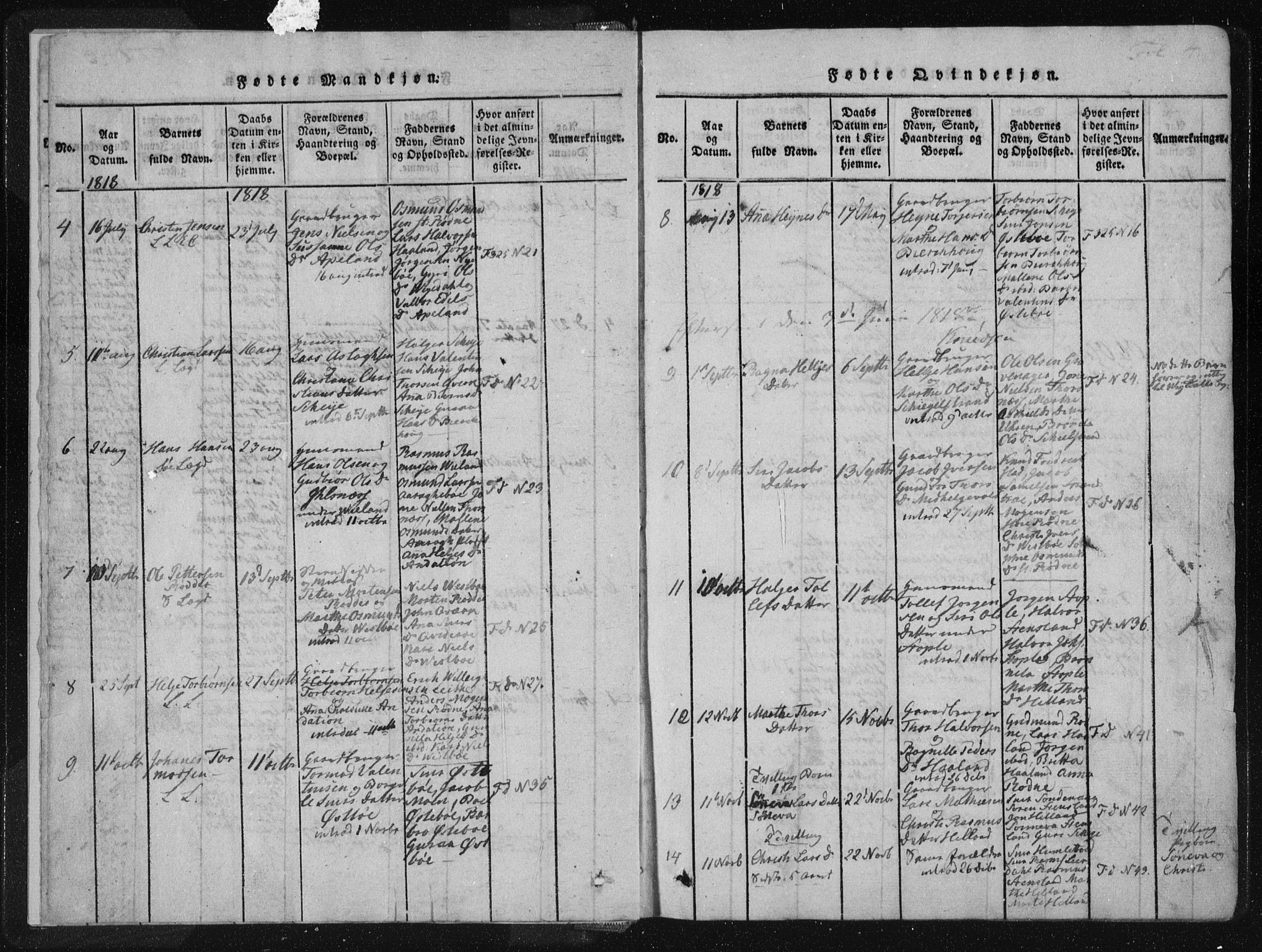 Vikedal sokneprestkontor, AV/SAST-A-101840/01/IV: Parish register (official) no. A 4, 1816-1850, p. 4