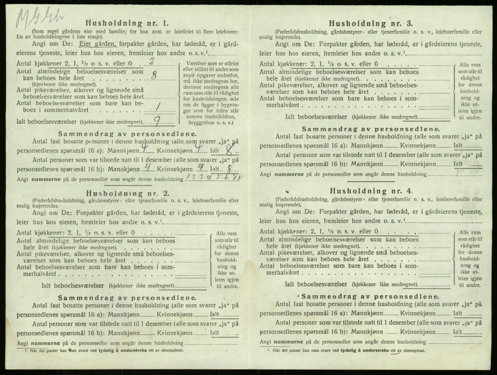 SAKO, 1920 census for Våle, 1920, p. 977