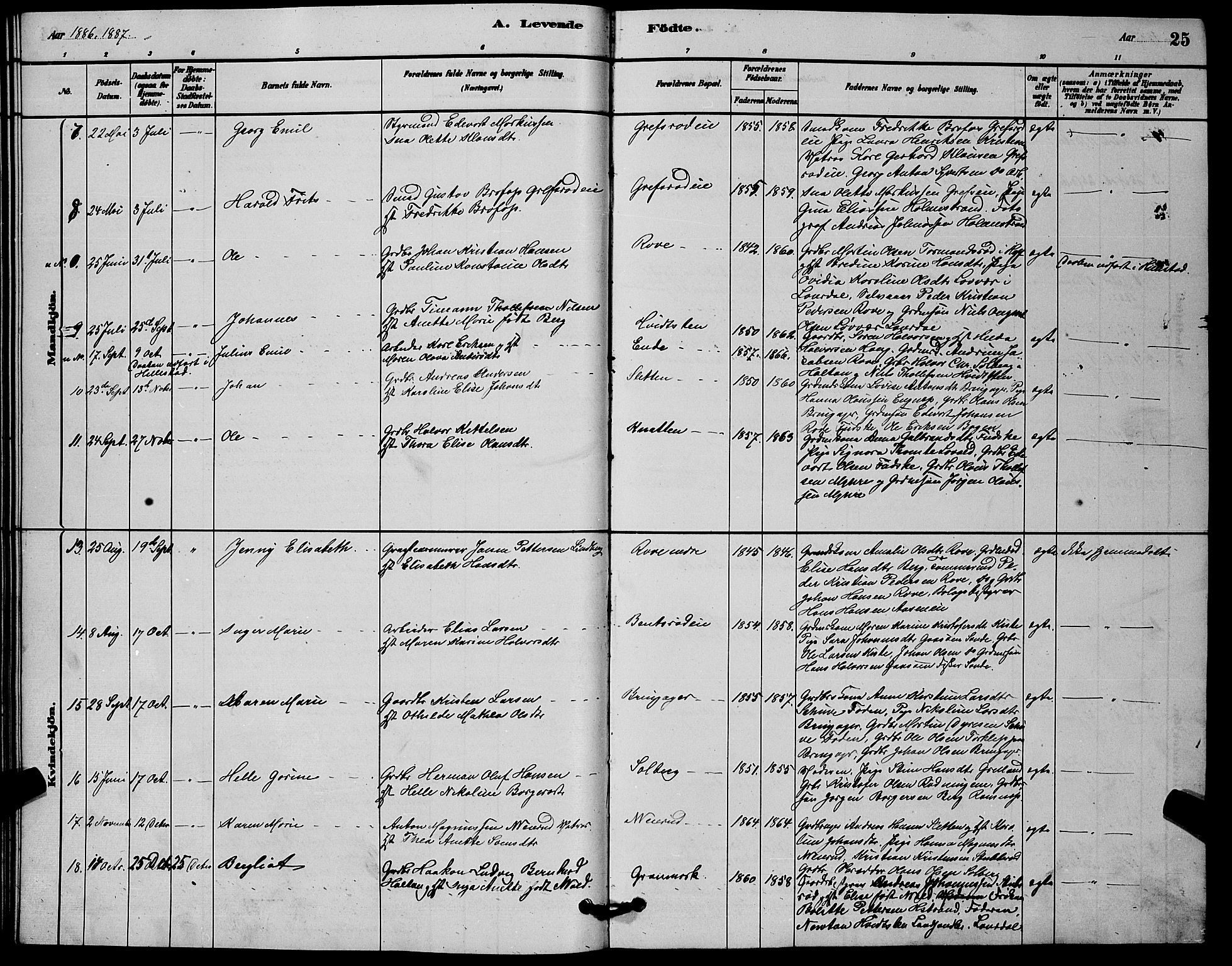 Botne kirkebøker, SAKO/A-340/G/Ga/L0003: Parish register (copy) no. I 3, 1878-1898, p. 25