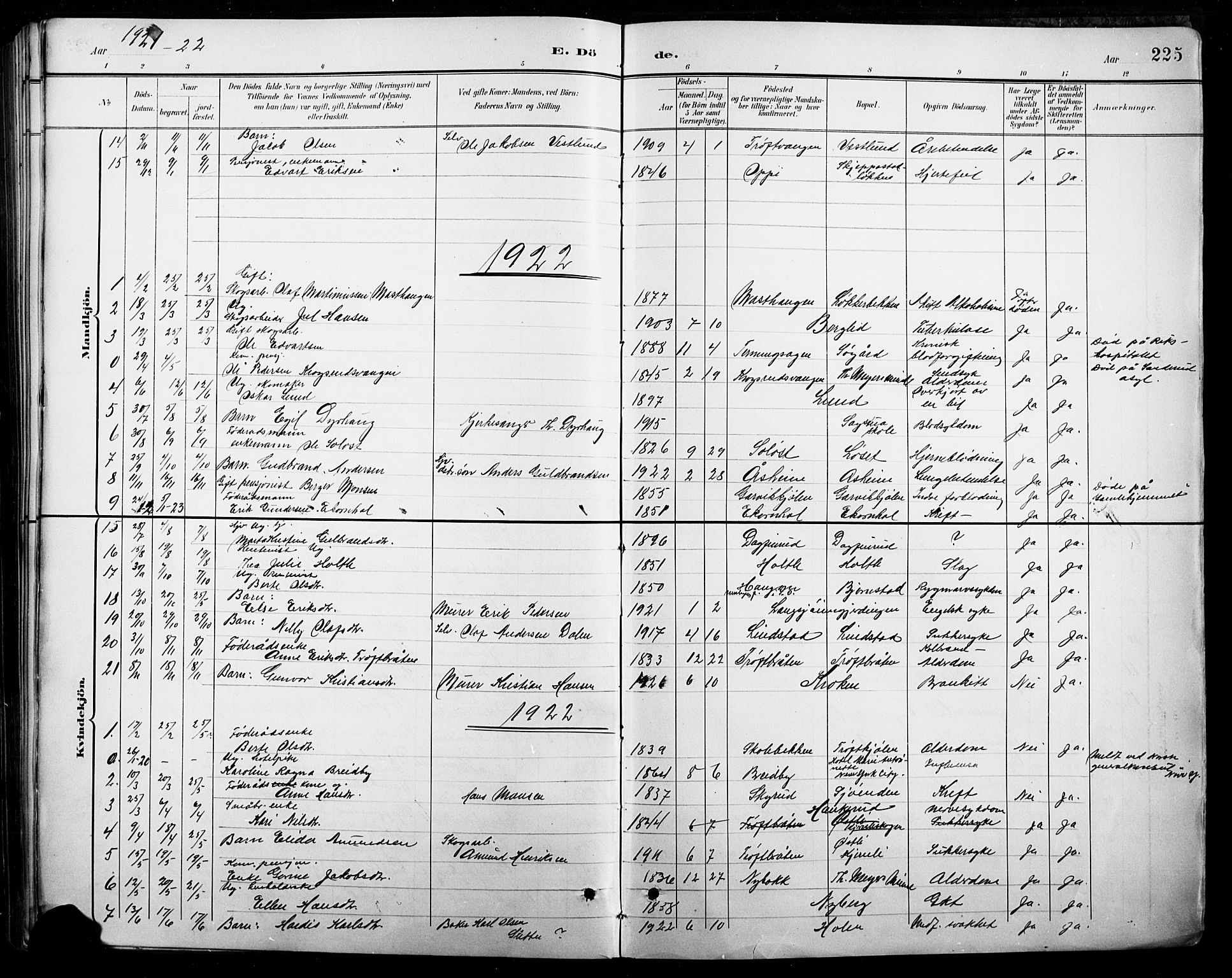 Nord-Odal prestekontor, AV/SAH-PREST-032/H/Ha/Hab/L0003: Parish register (copy) no. 3, 1895-1923, p. 225