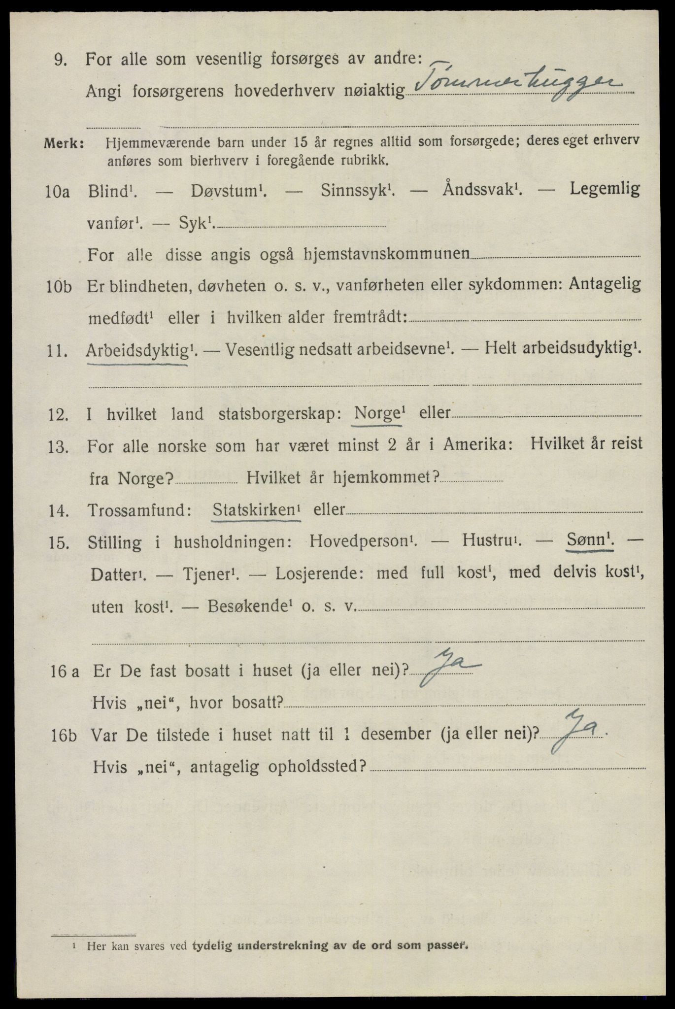 SAO, 1920 census for Nes, 1920, p. 10403