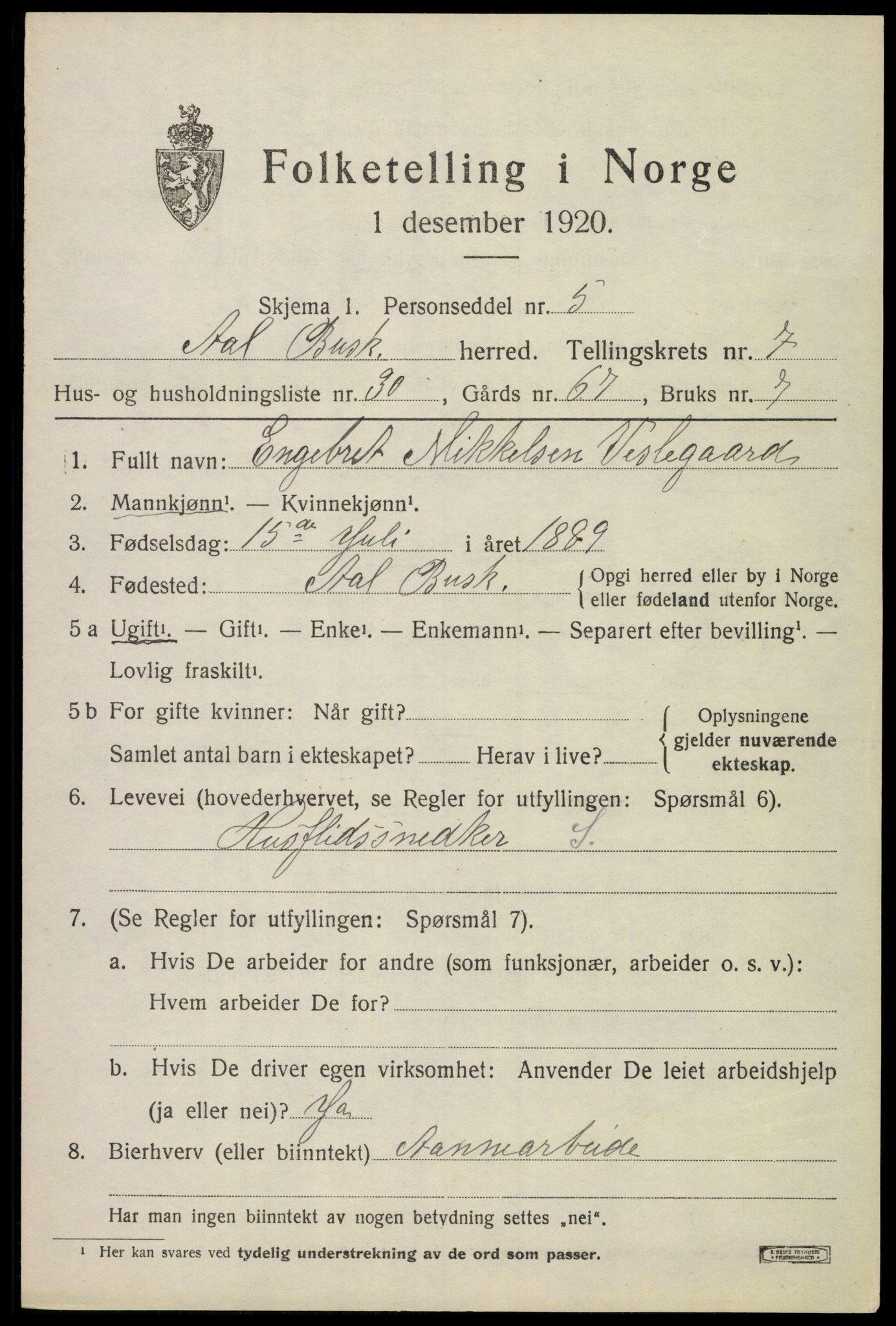 SAKO, 1920 census for Ål, 1920, p. 5118