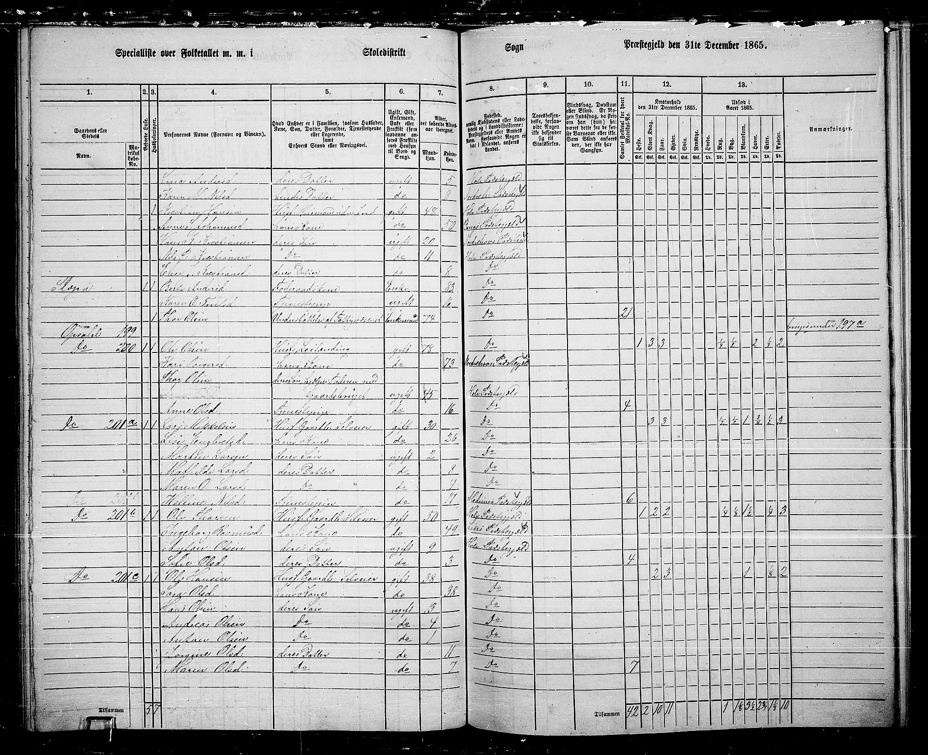 RA, 1865 census for Hole, 1865, p. 136