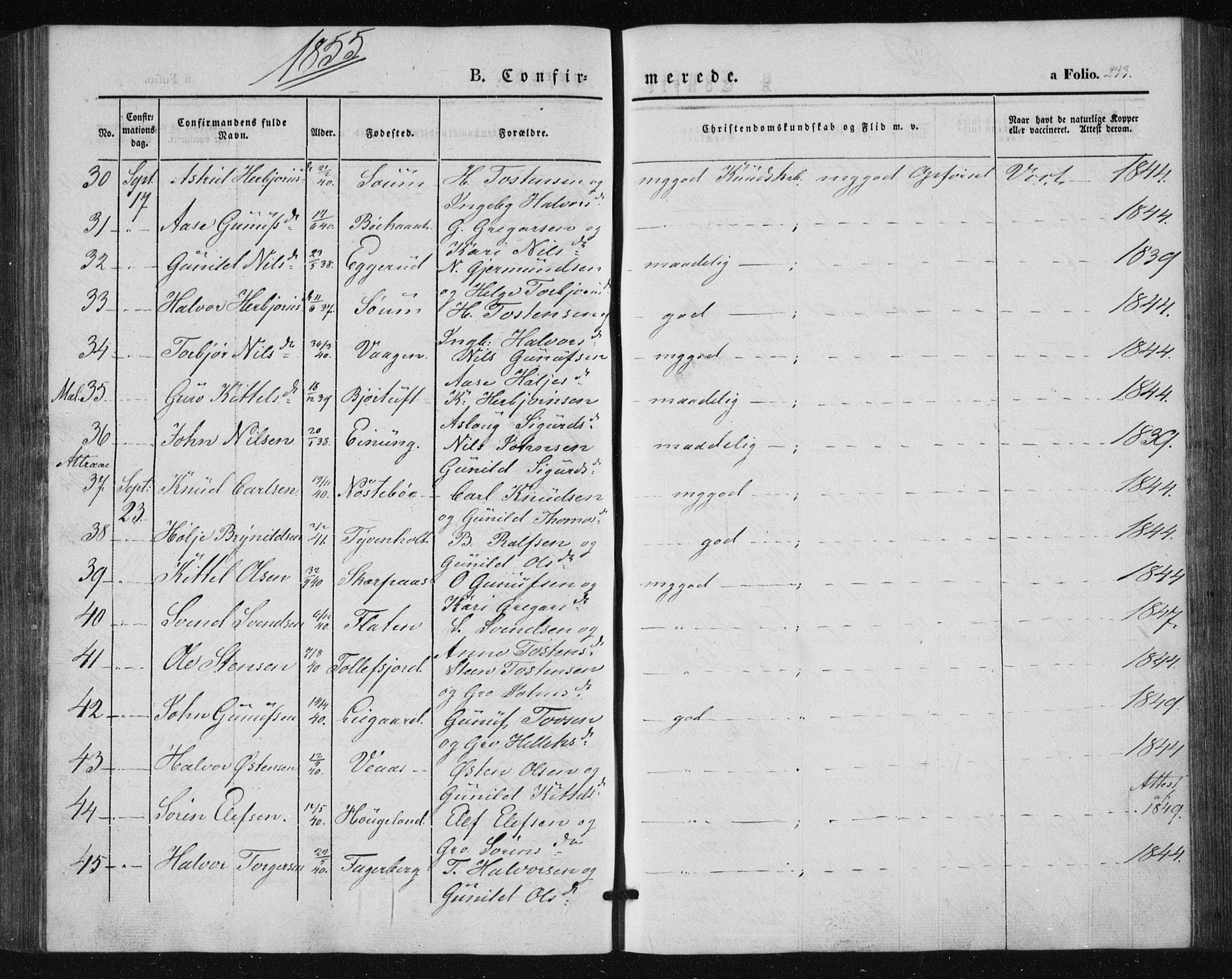 Tinn kirkebøker, SAKO/A-308/F/Fa/L0005: Parish register (official) no. I 5, 1844-1856, p. 233
