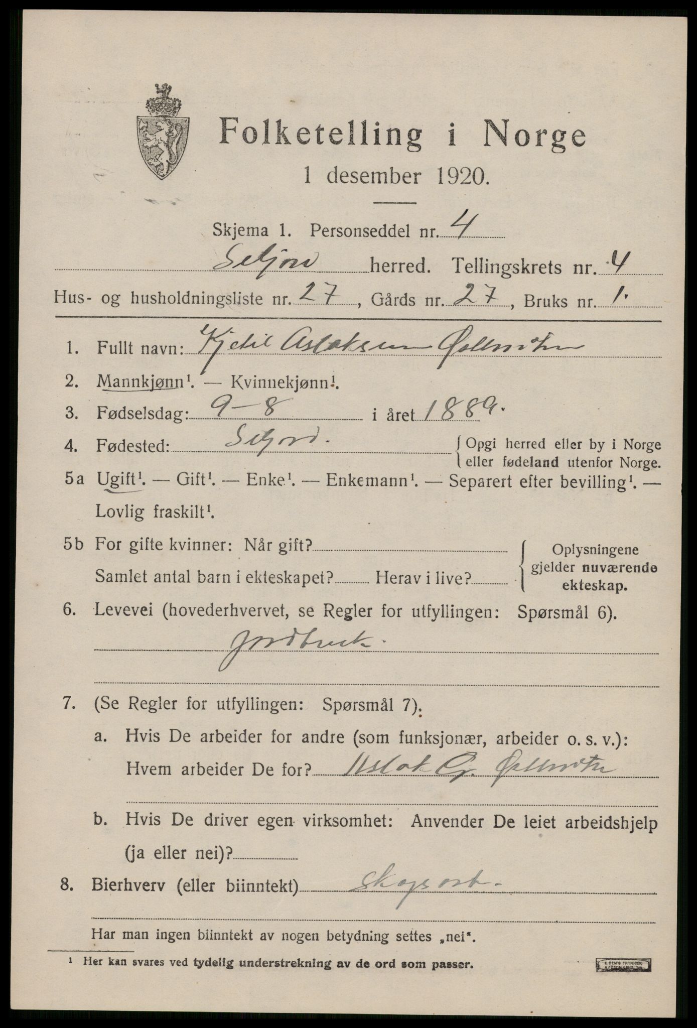 SAKO, 1920 census for Seljord, 1920, p. 2368