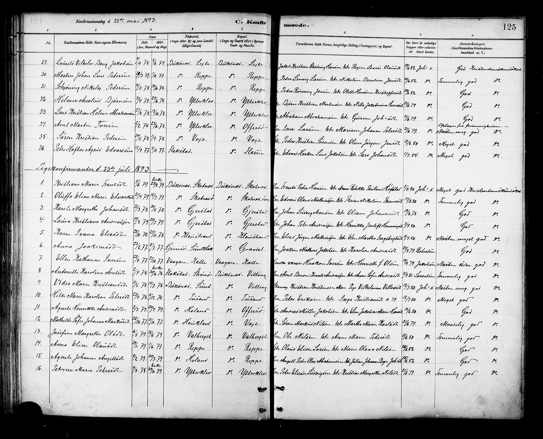 Ministerialprotokoller, klokkerbøker og fødselsregistre - Nordland, SAT/A-1459/881/L1167: Parish register (copy) no. 881C04, 1886-1899, p. 125
