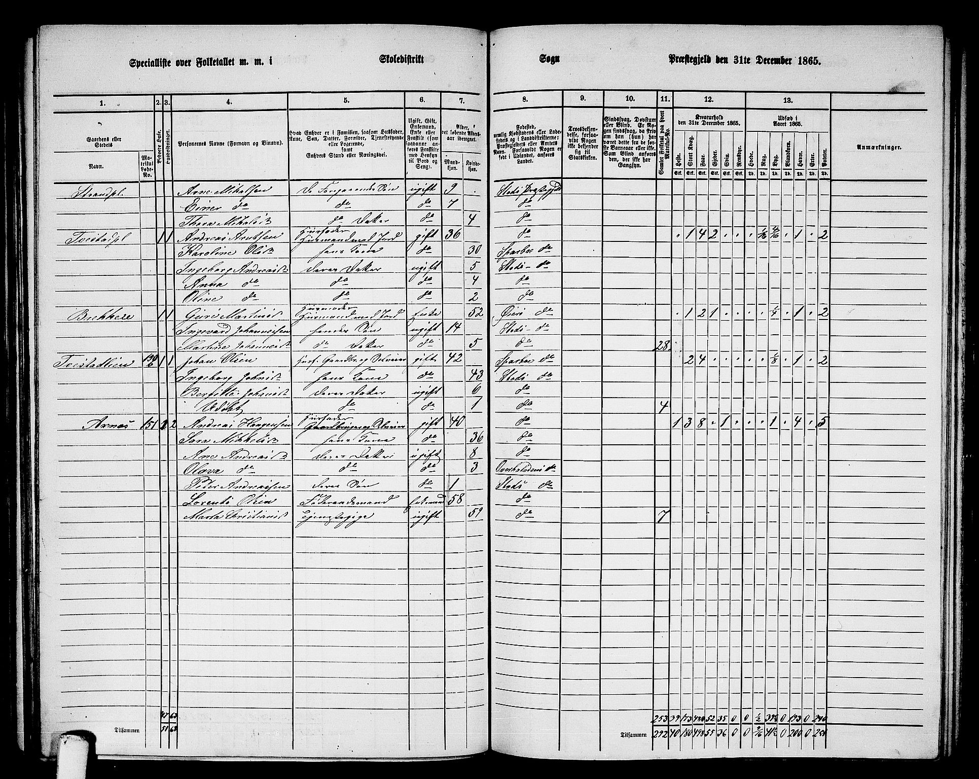 RA, 1865 census for Stod, 1865, p. 113