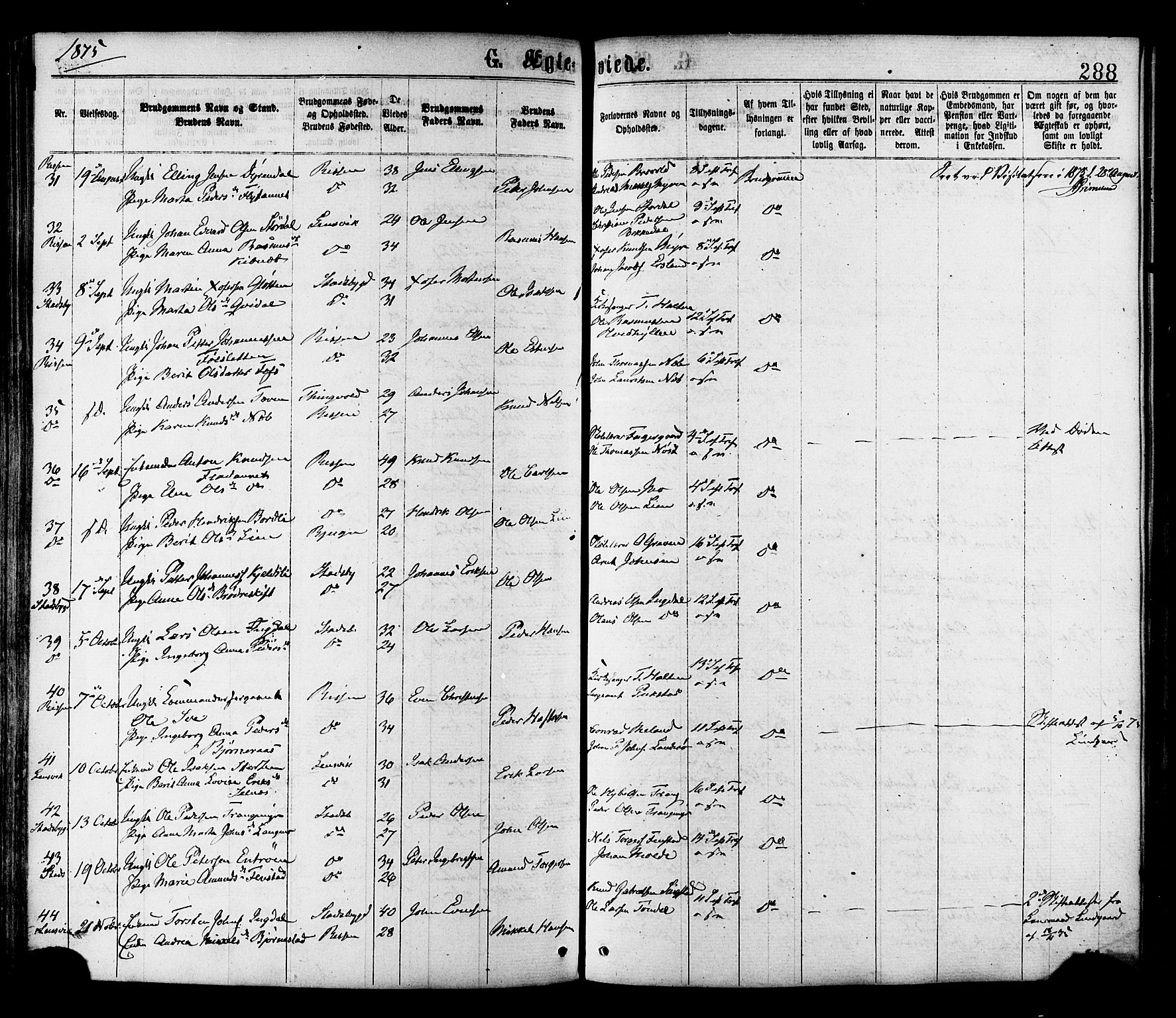 Ministerialprotokoller, klokkerbøker og fødselsregistre - Sør-Trøndelag, AV/SAT-A-1456/646/L0613: Parish register (official) no. 646A11, 1870-1884, p. 288