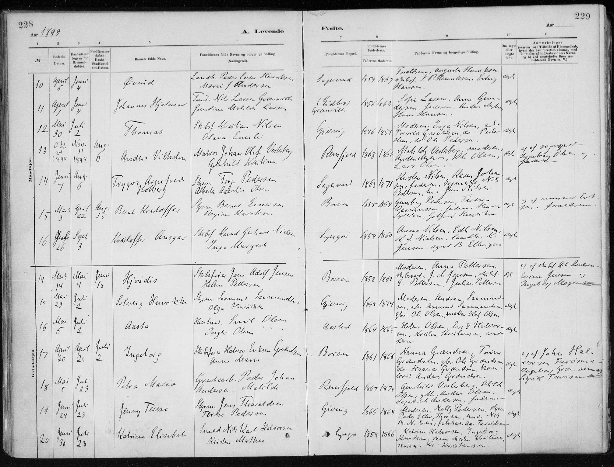 Dypvåg sokneprestkontor, AV/SAK-1111-0007/F/Fa/Faa/L0008: Parish register (official) no. A 8, 1885-1906, p. 228-229