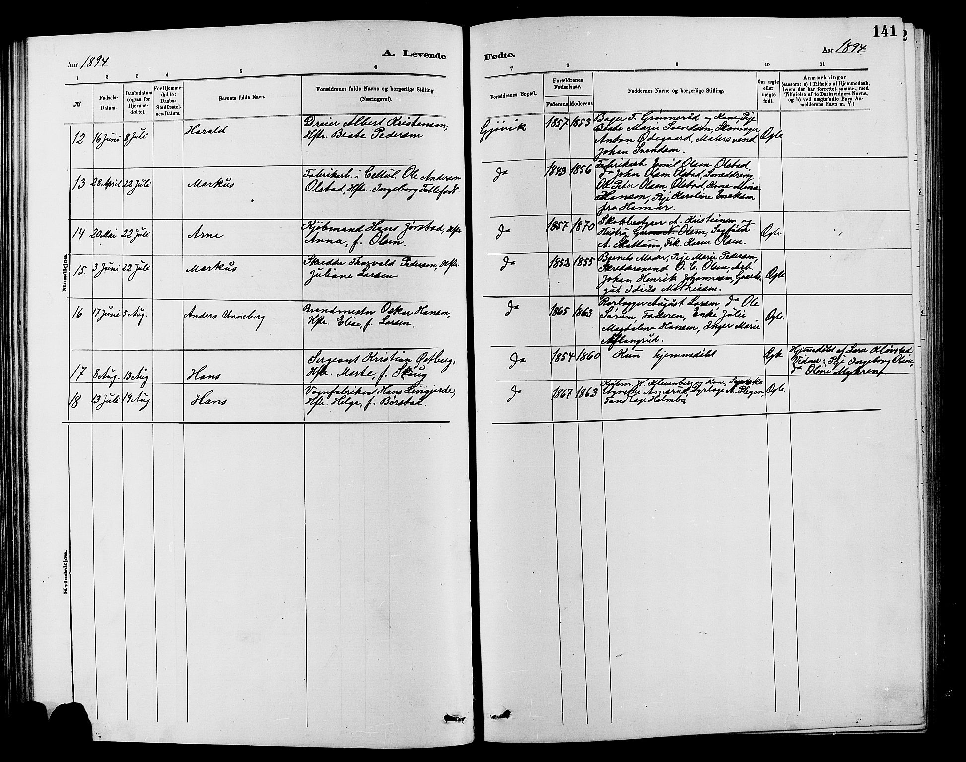 Vardal prestekontor, AV/SAH-PREST-100/H/Ha/Hab/L0007: Parish register (copy) no. 7 /2, 1881-1895, p. 141