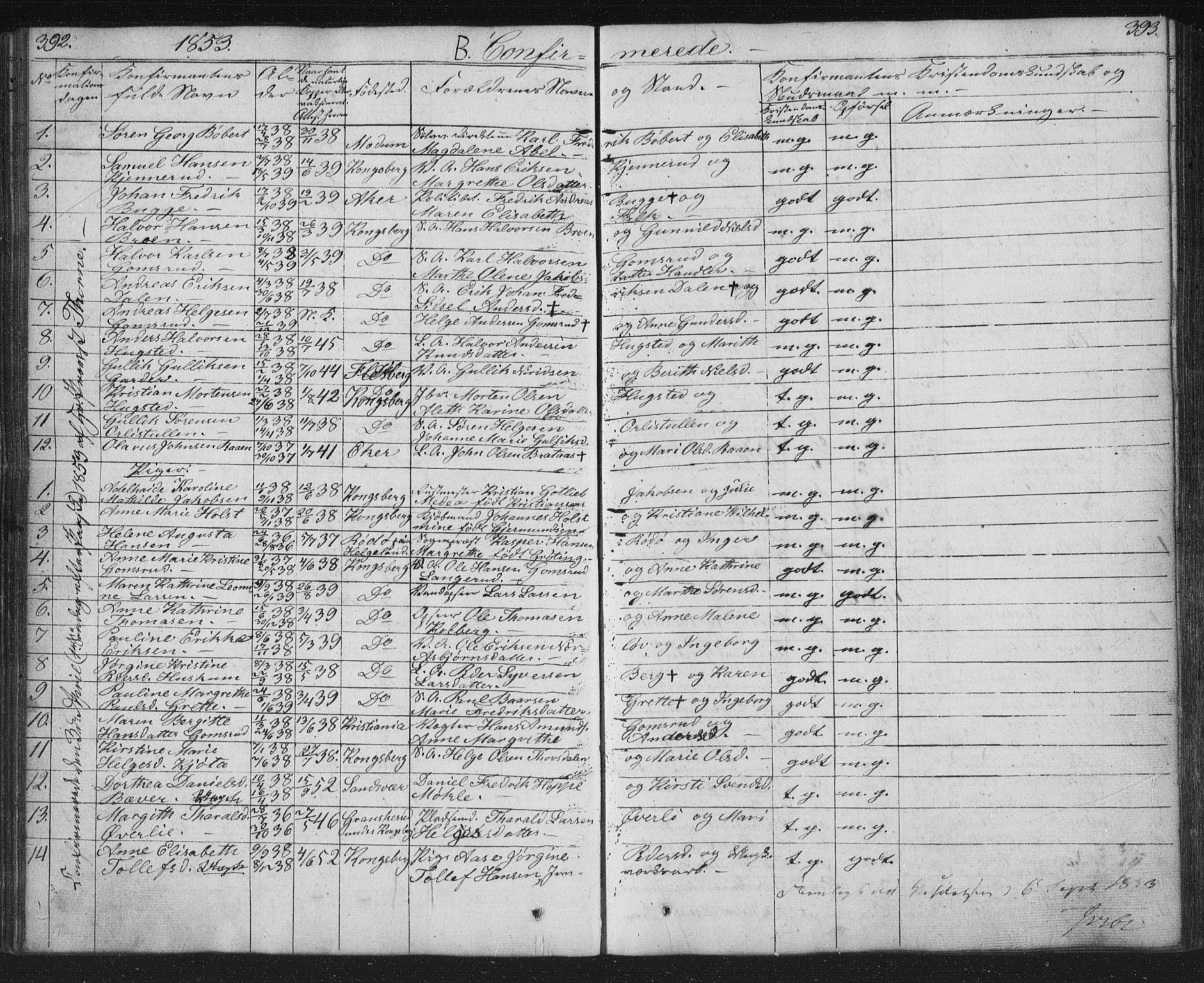Kongsberg kirkebøker, AV/SAKO-A-22/G/Ga/L0002: Parish register (copy) no. 2, 1839-1858, p. 392-393