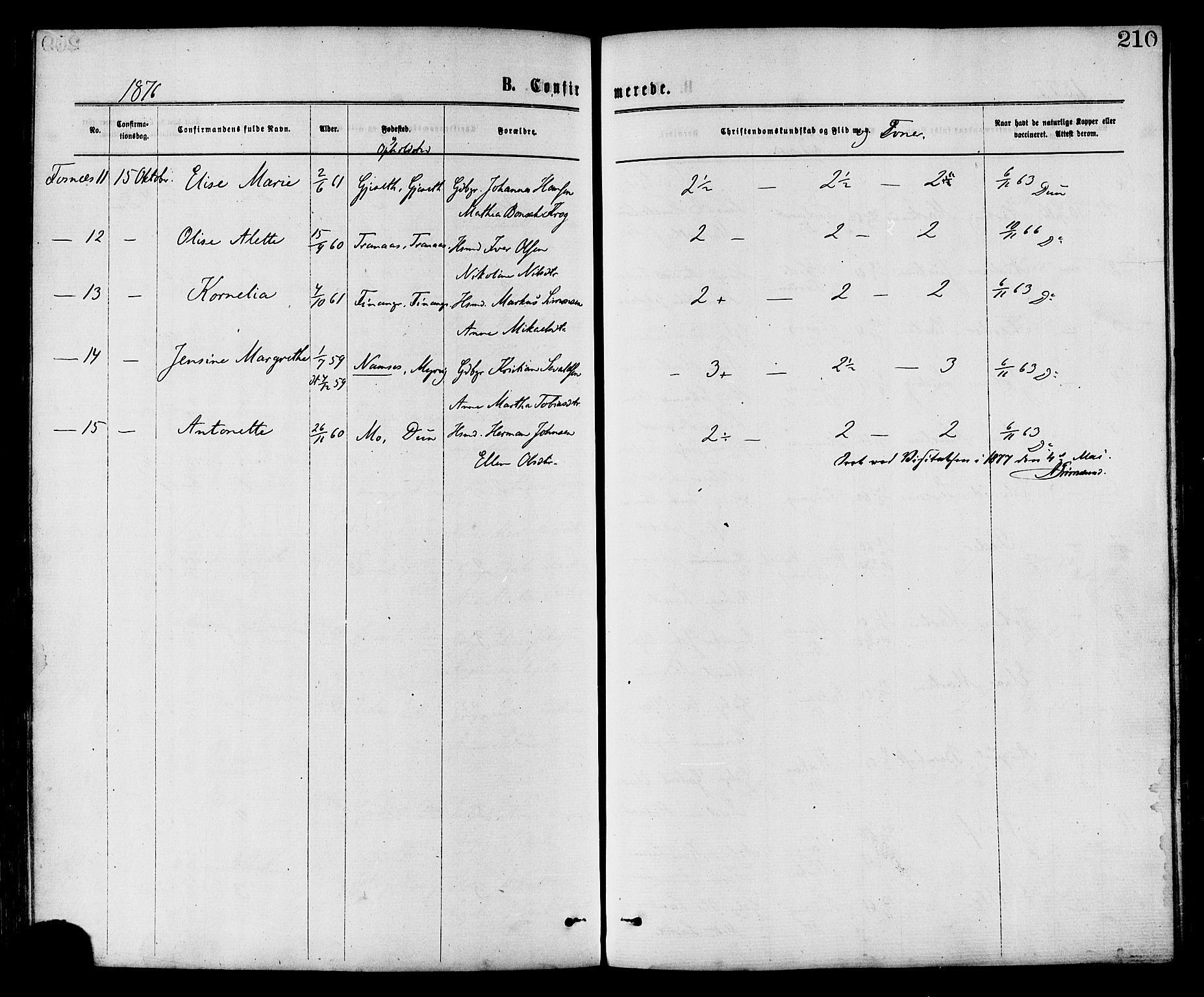 Ministerialprotokoller, klokkerbøker og fødselsregistre - Nord-Trøndelag, AV/SAT-A-1458/773/L0616: Parish register (official) no. 773A07, 1870-1887, p. 210