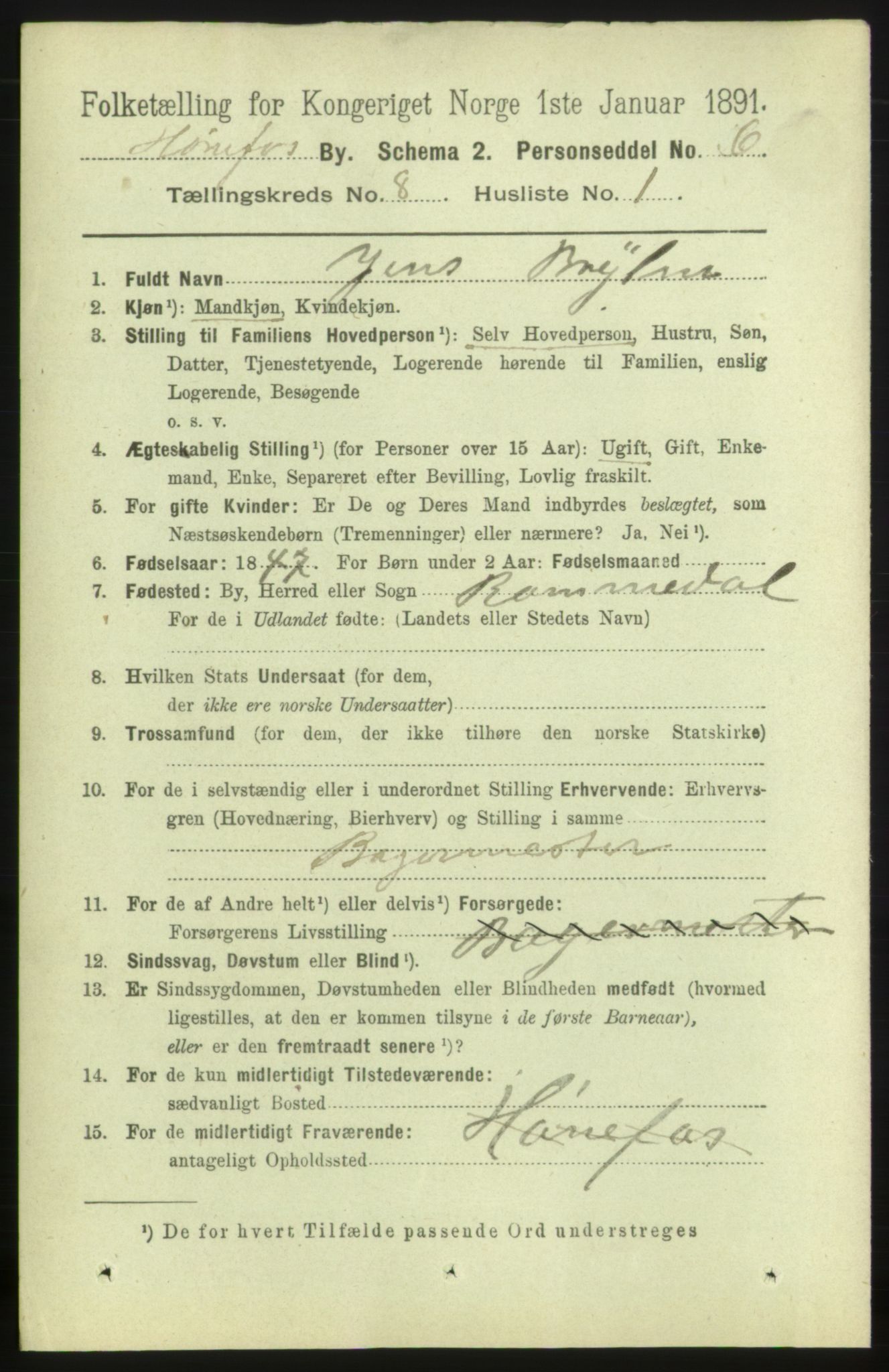 RA, 1891 census for 0601 Hønefoss, 1891, p. 1251