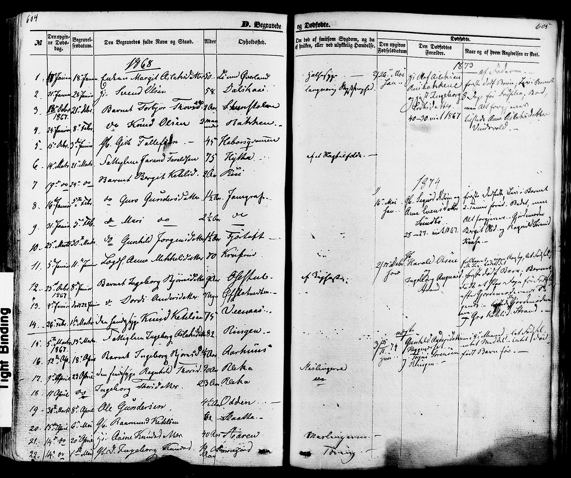 Seljord kirkebøker, SAKO/A-20/F/Fa/L0013: Parish register (official) no. I 13, 1866-1876, p. 604-605