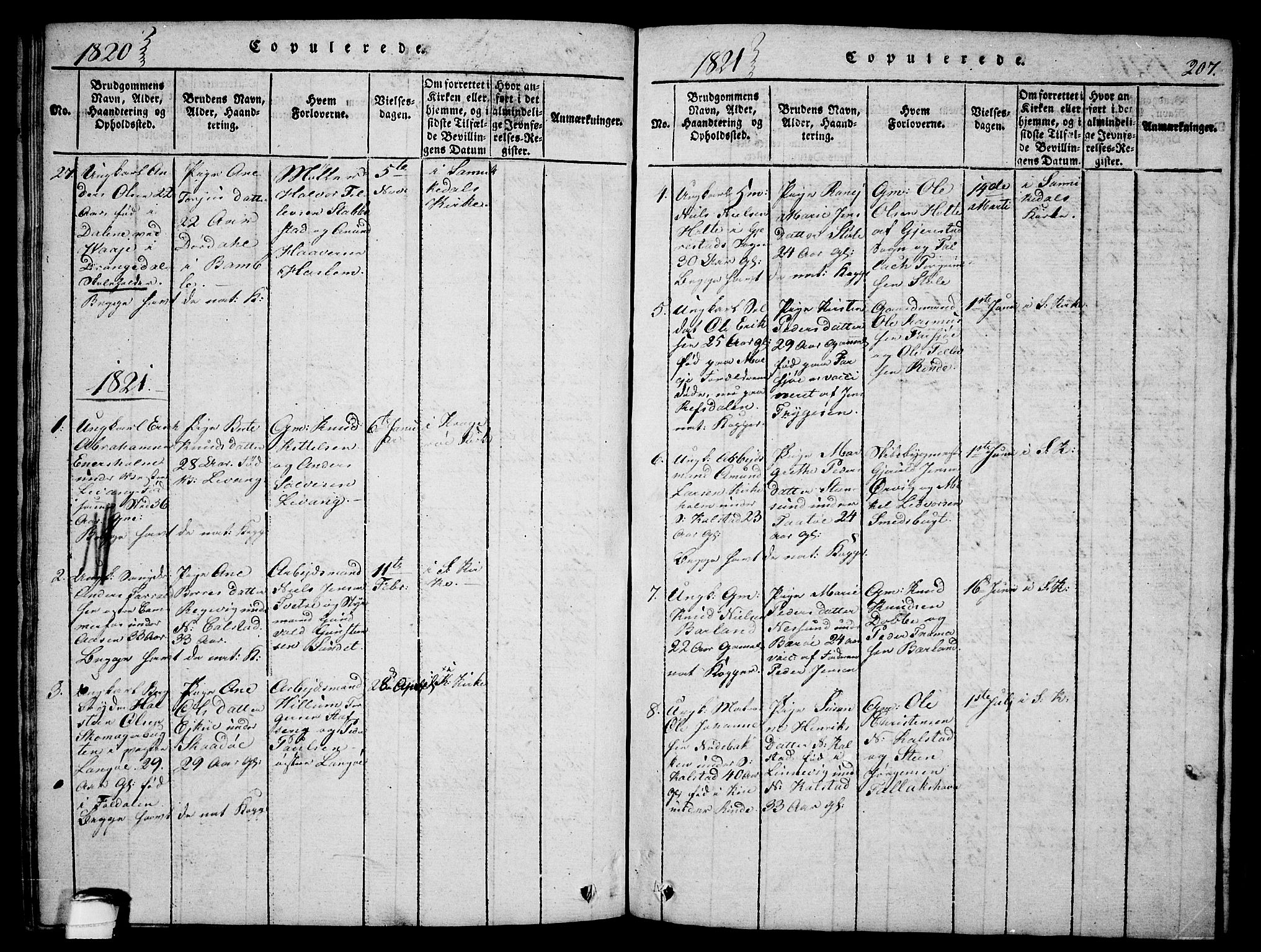 Sannidal kirkebøker, SAKO/A-296/F/Fa/L0004: Parish register (official) no. 4, 1814-1829, p. 207