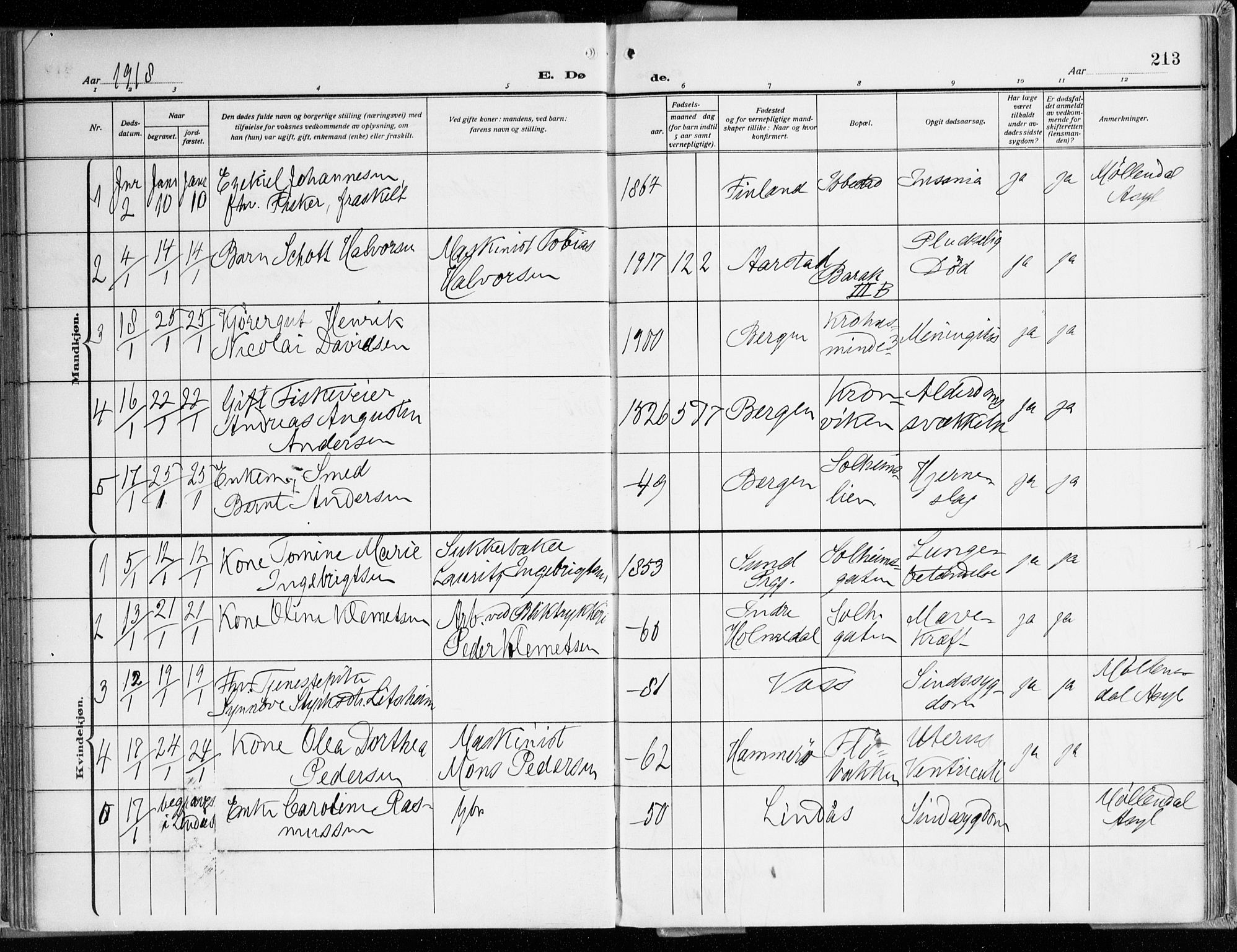 Årstad Sokneprestembete, SAB/A-79301/H/Haa/L0003: Parish register (official) no. A 3, 1914-1919, p. 213