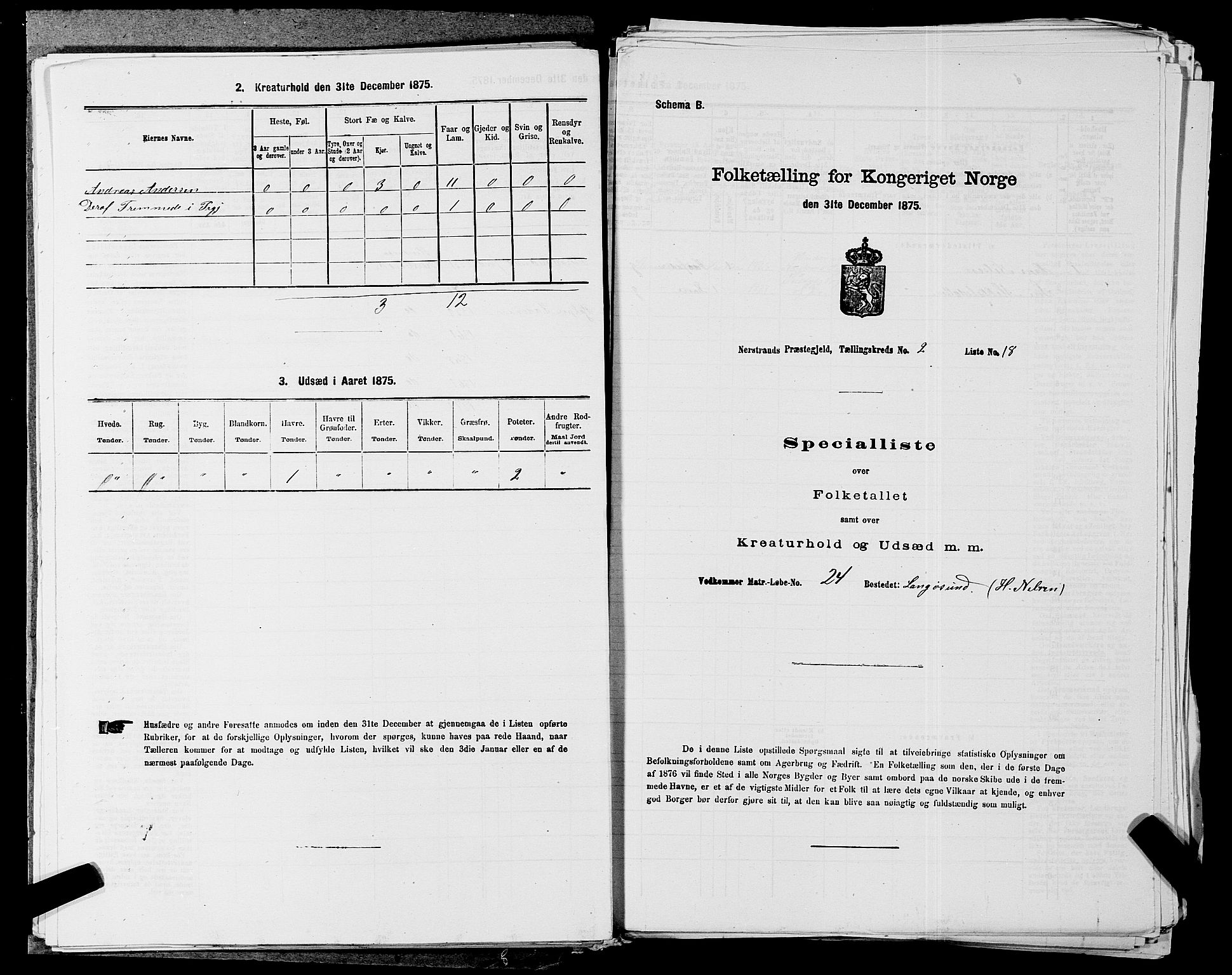 SAST, 1875 census for 1139P Nedstrand, 1875, p. 583