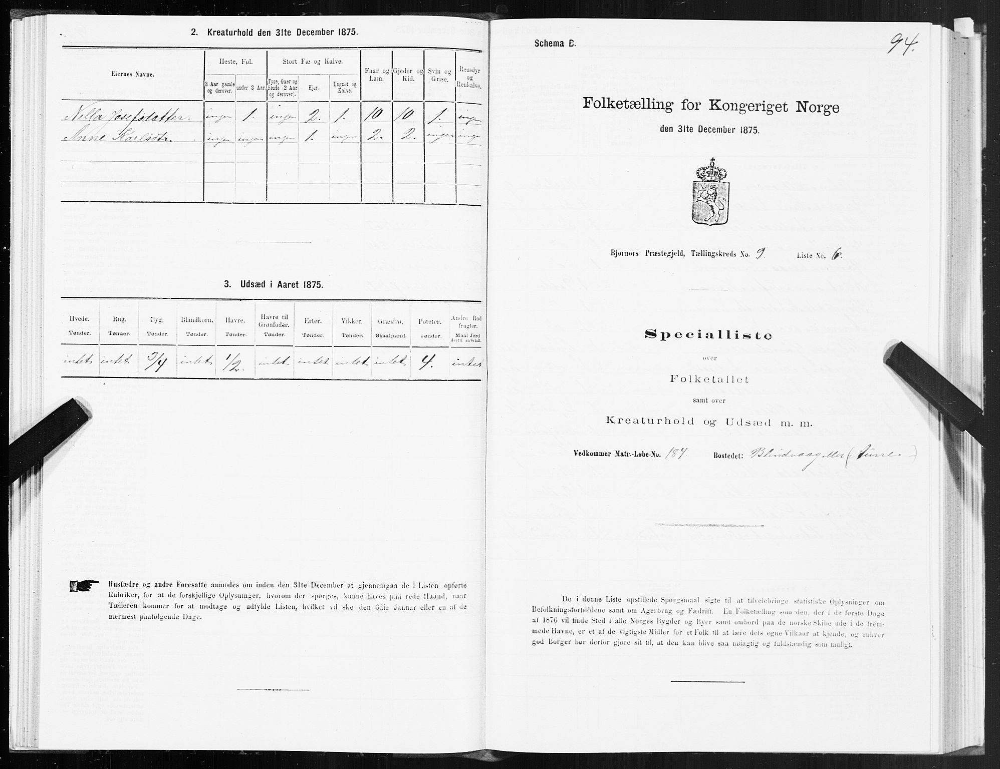 SAT, 1875 census for 1632P Bjørnør, 1875, p. 4094