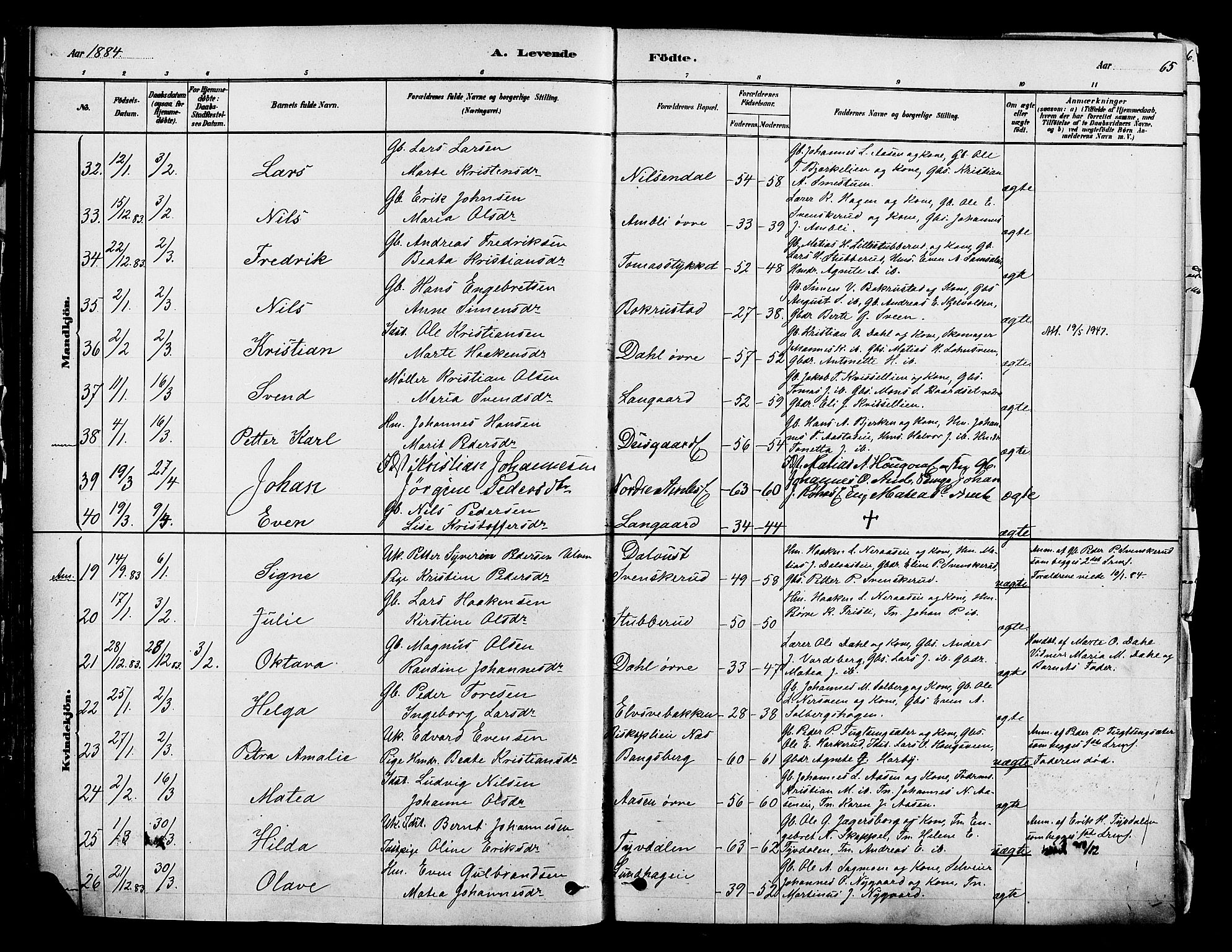 Ringsaker prestekontor, AV/SAH-PREST-014/K/Ka/L0012: Parish register (official) no. 12, 1879-1890, p. 65